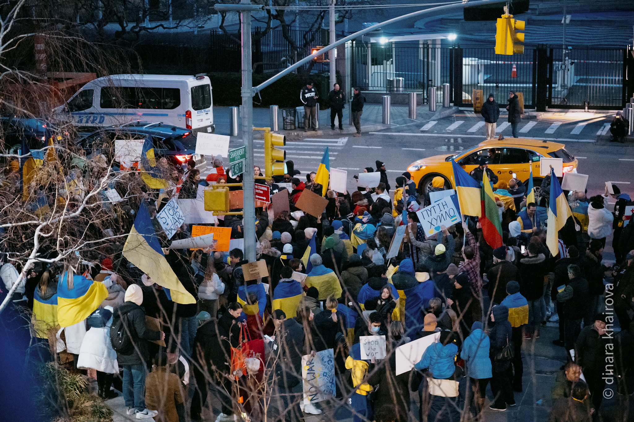 Peace. Dinara Khairova