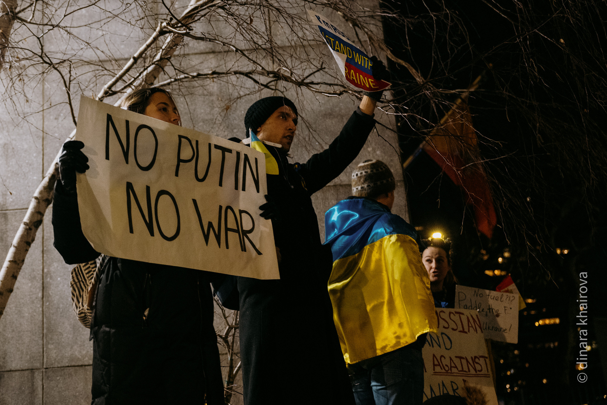 Peace. Dinara Khairova