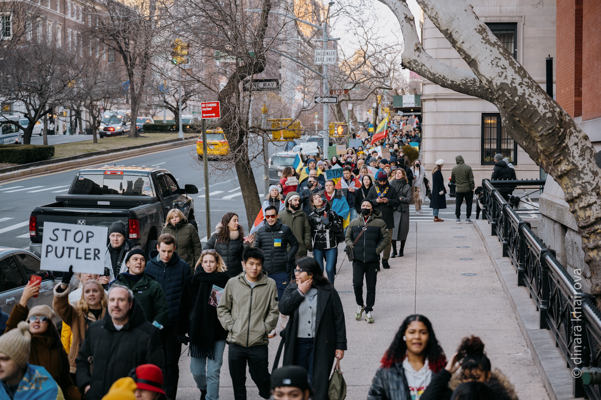 Peace. Dinara Khairova