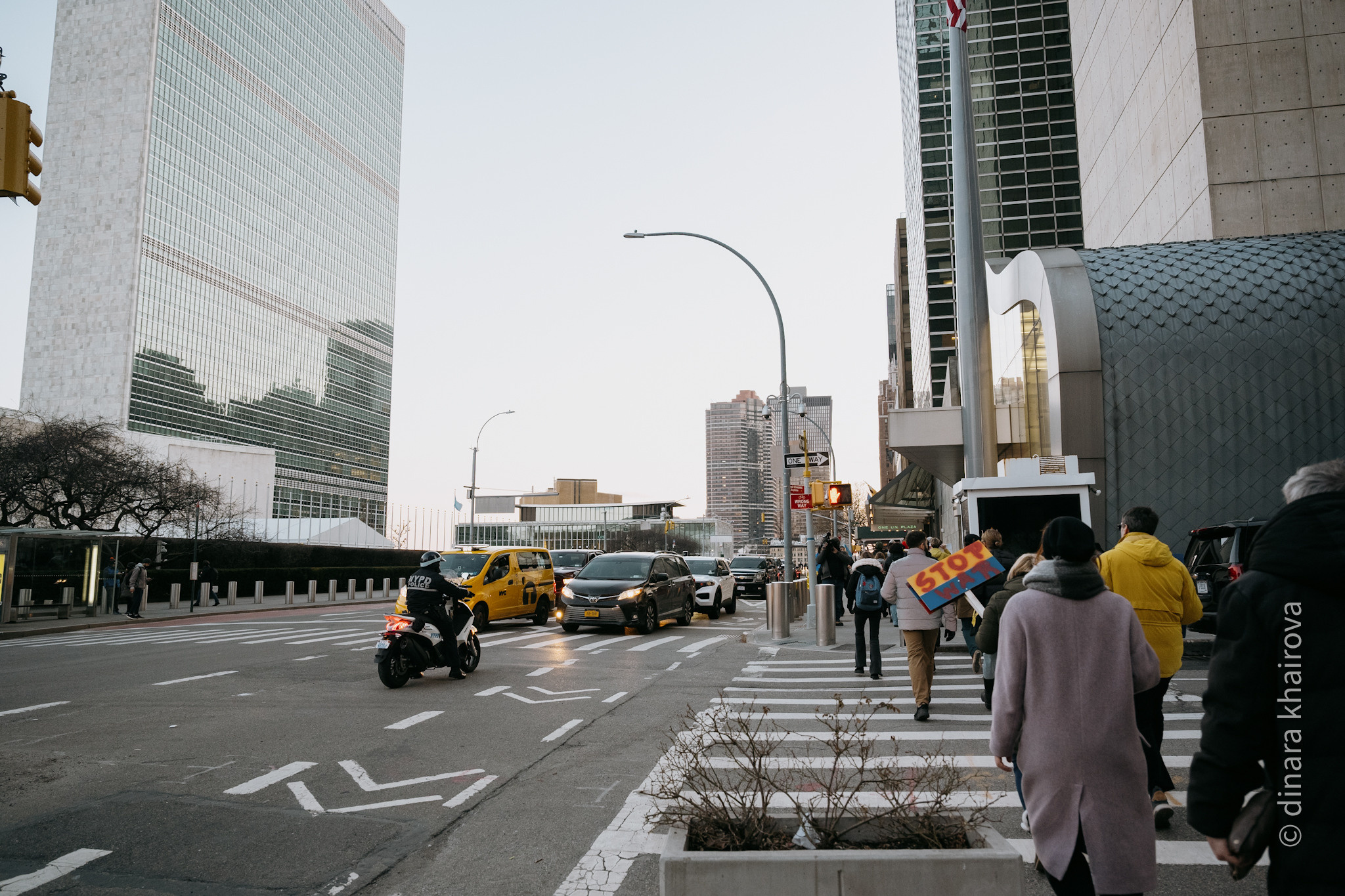 Peace. Dinara Khairova