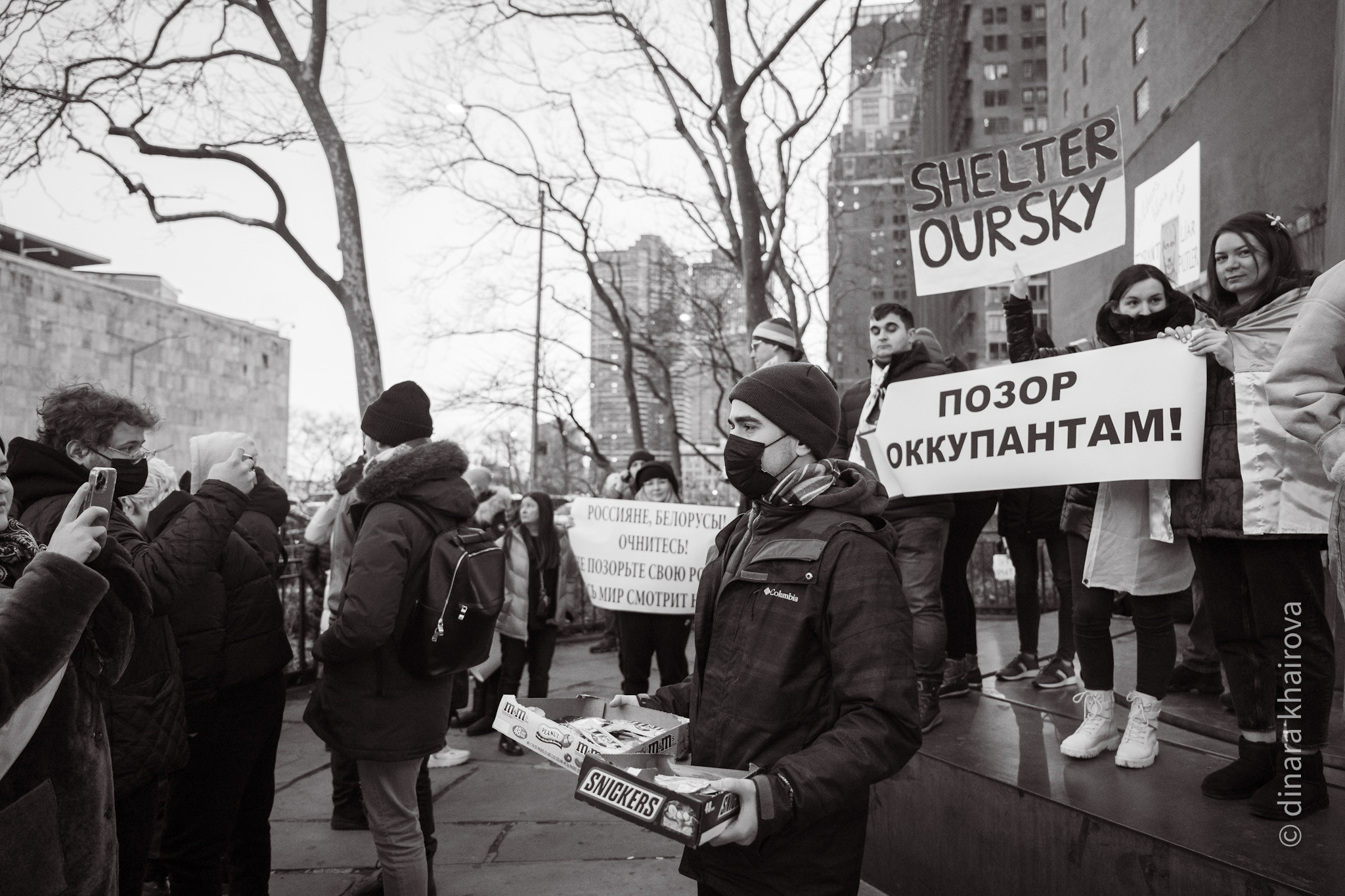 Peace. Dinara Khairova