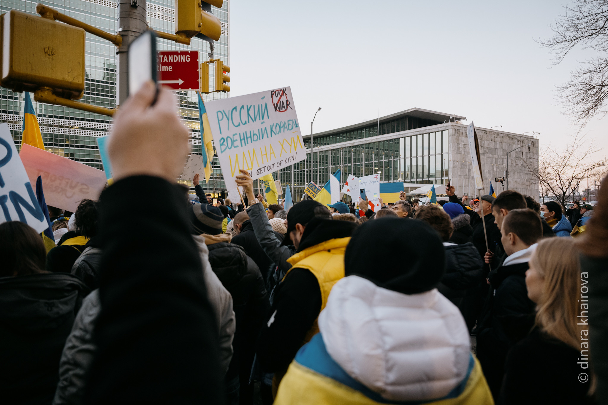 Peace. Dinara Khairova