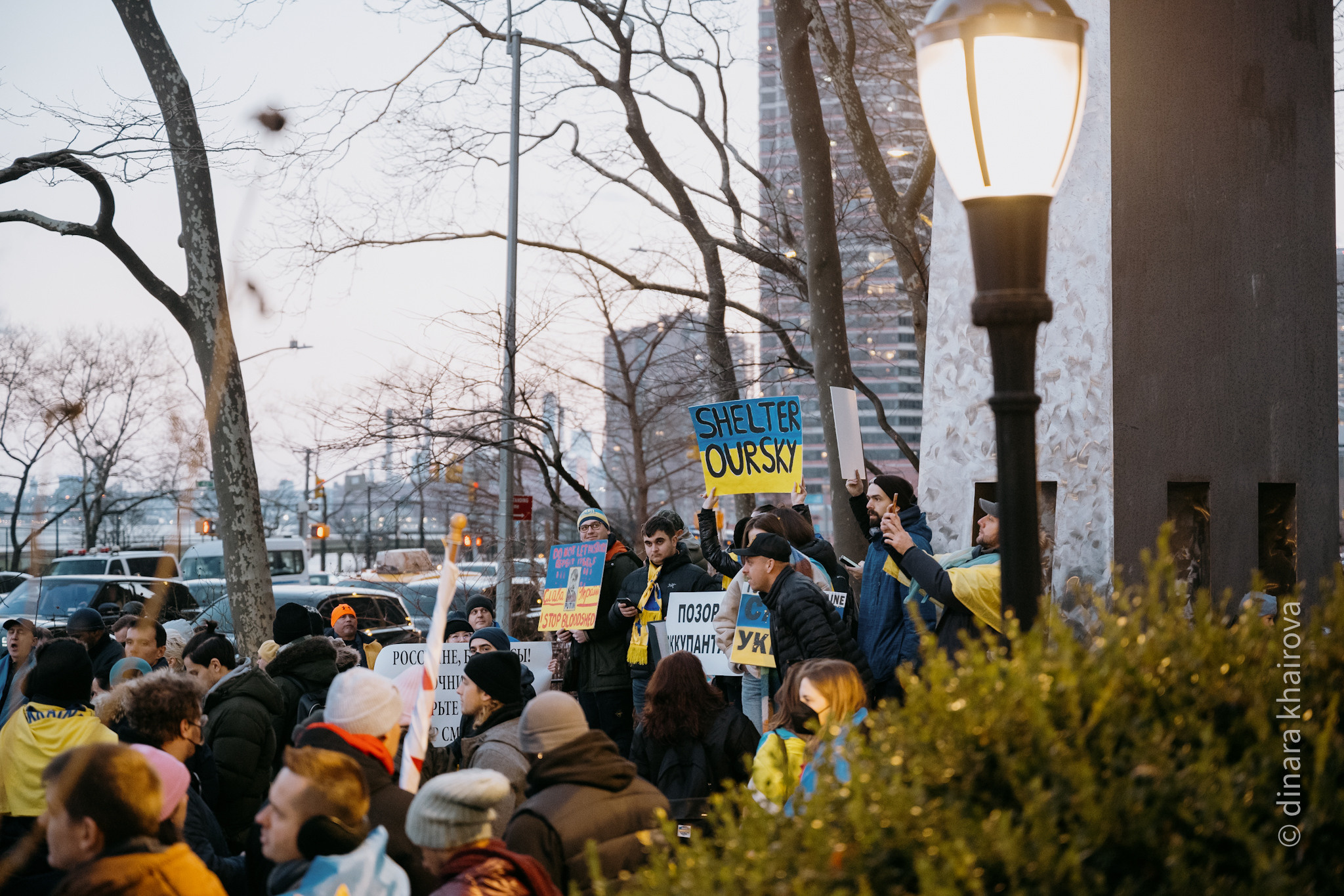 Peace. Dinara Khairova