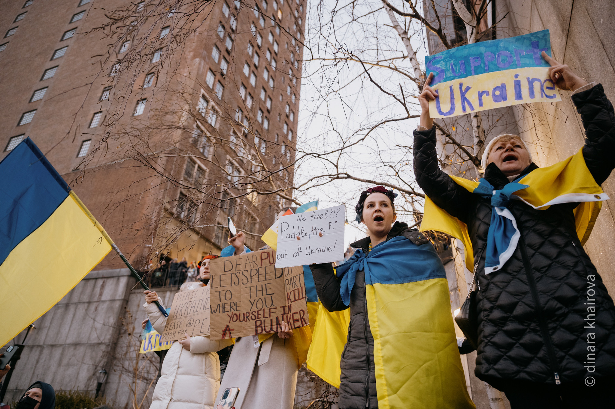 Peace. Dinara Khairova