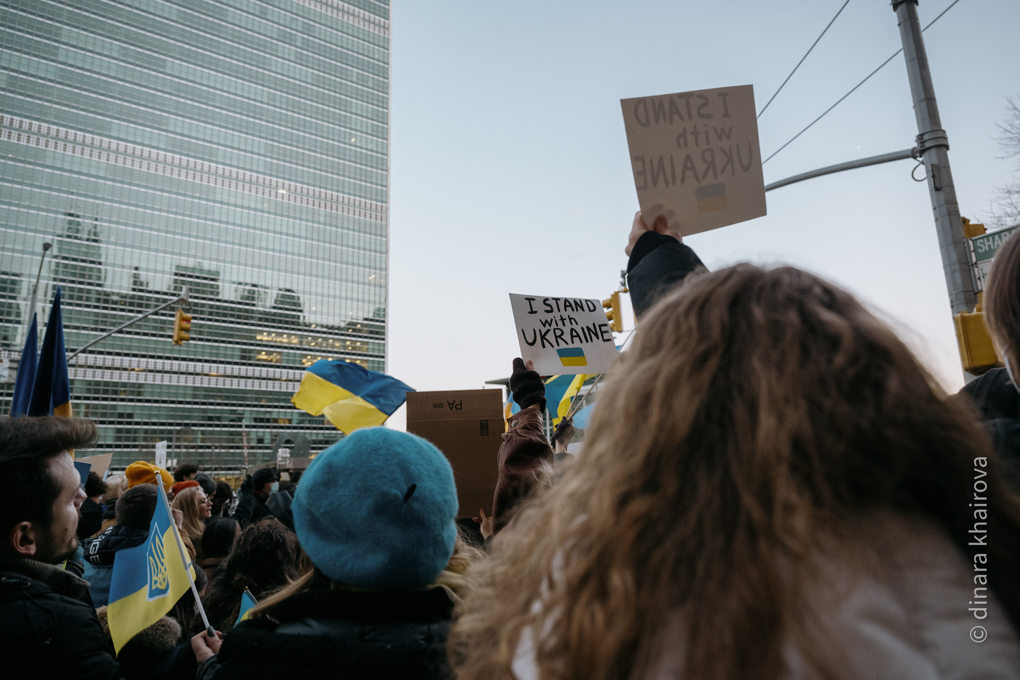 Peace. Dinara Khairova