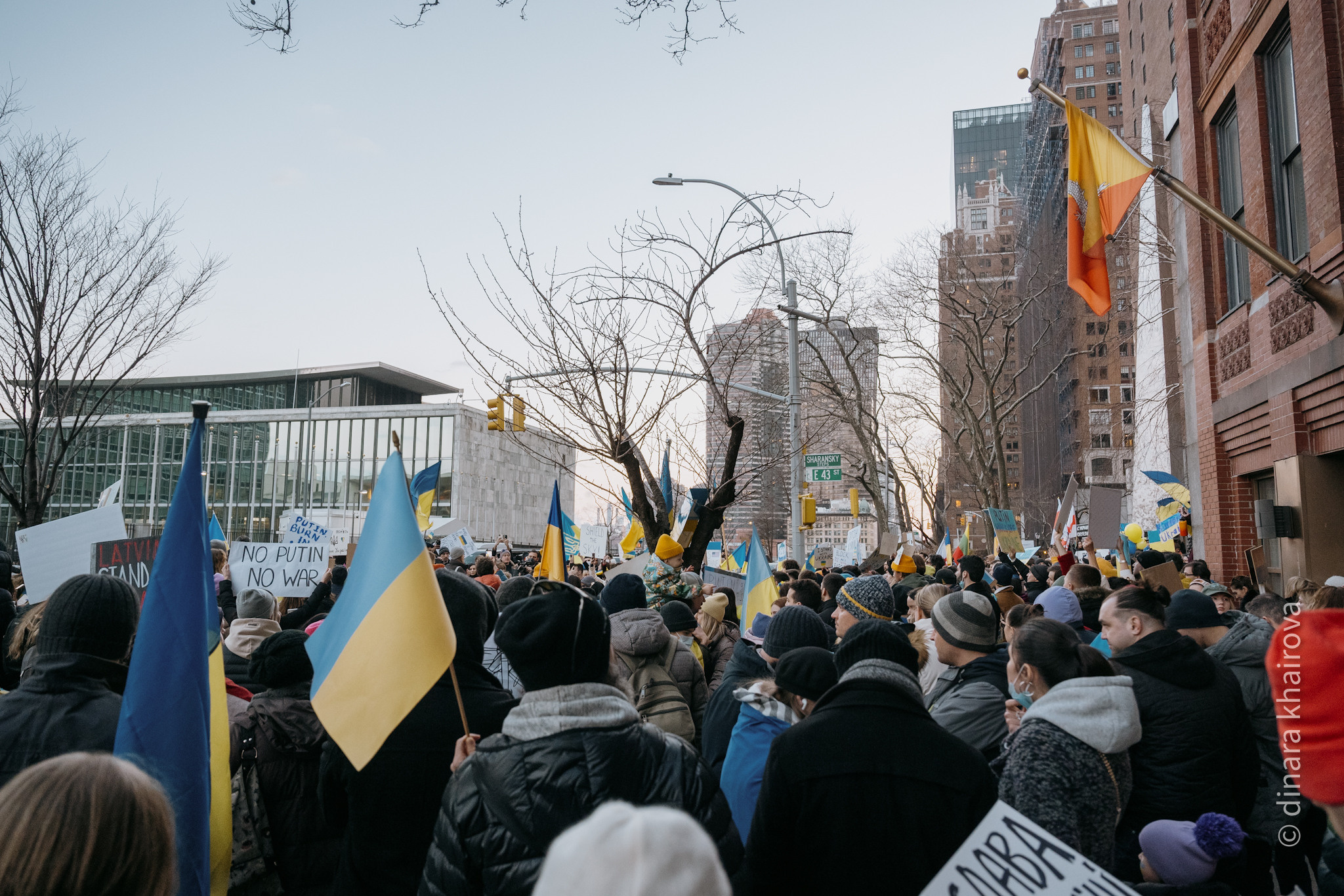 Peace. Dinara Khairova