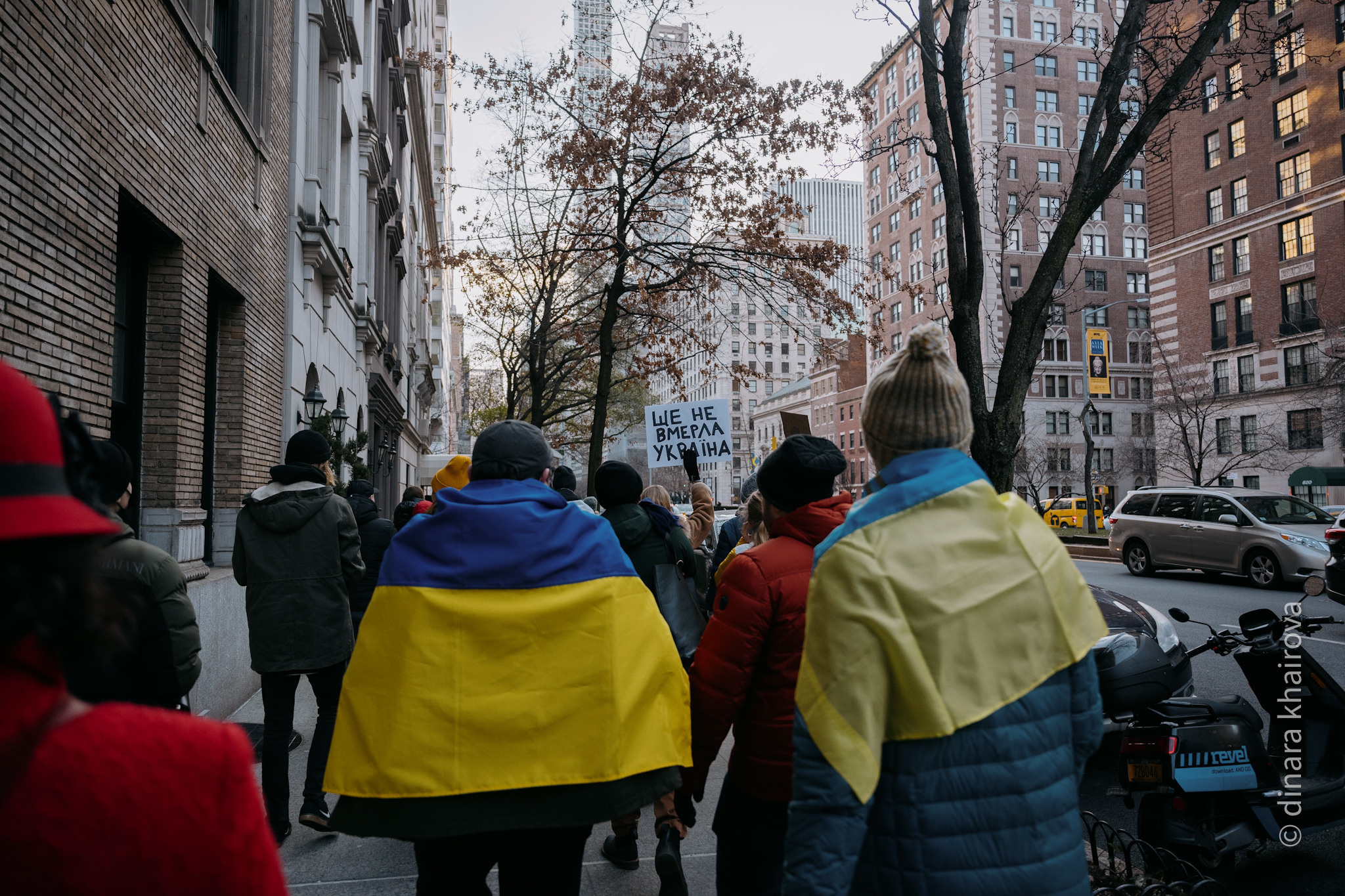 Peace. Dinara Khairova