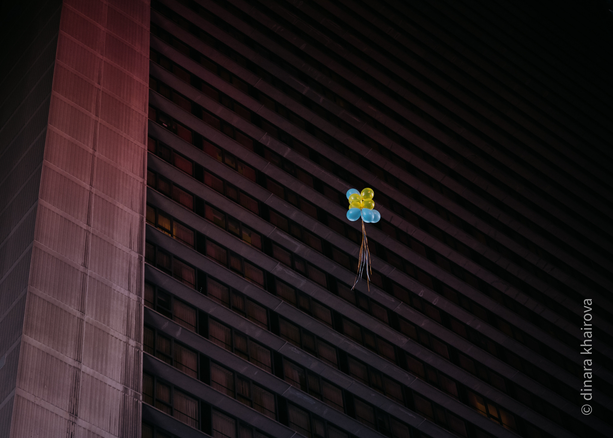 Peace. Dinara Khairova