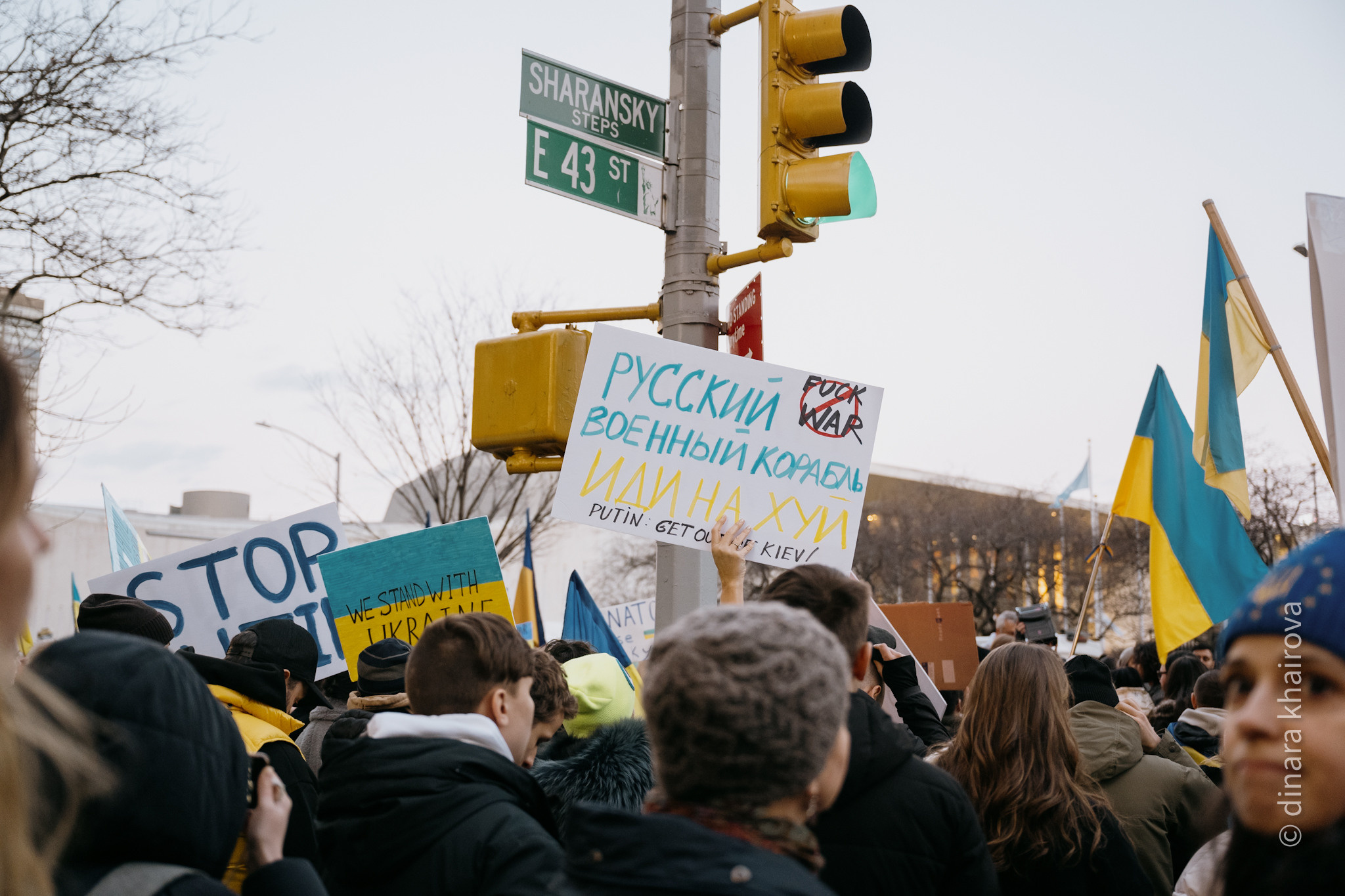 Peace. Dinara Khairova