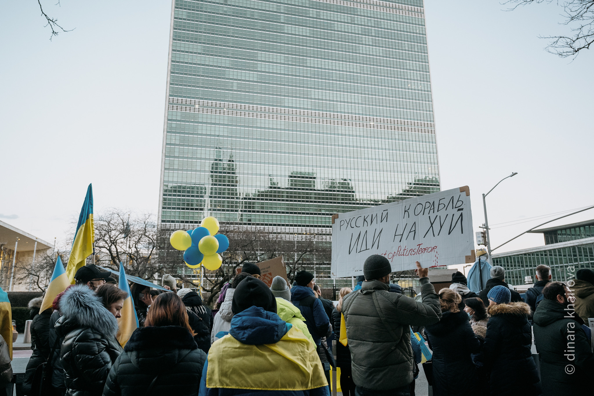 Peace. Dinara Khairova