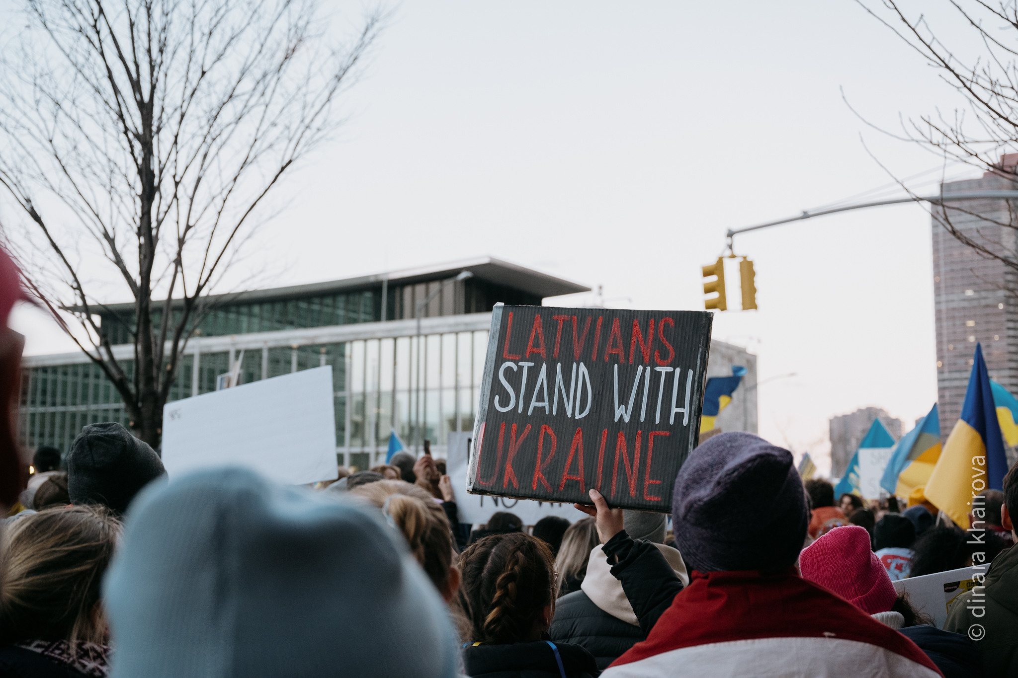 Peace. Dinara Khairova