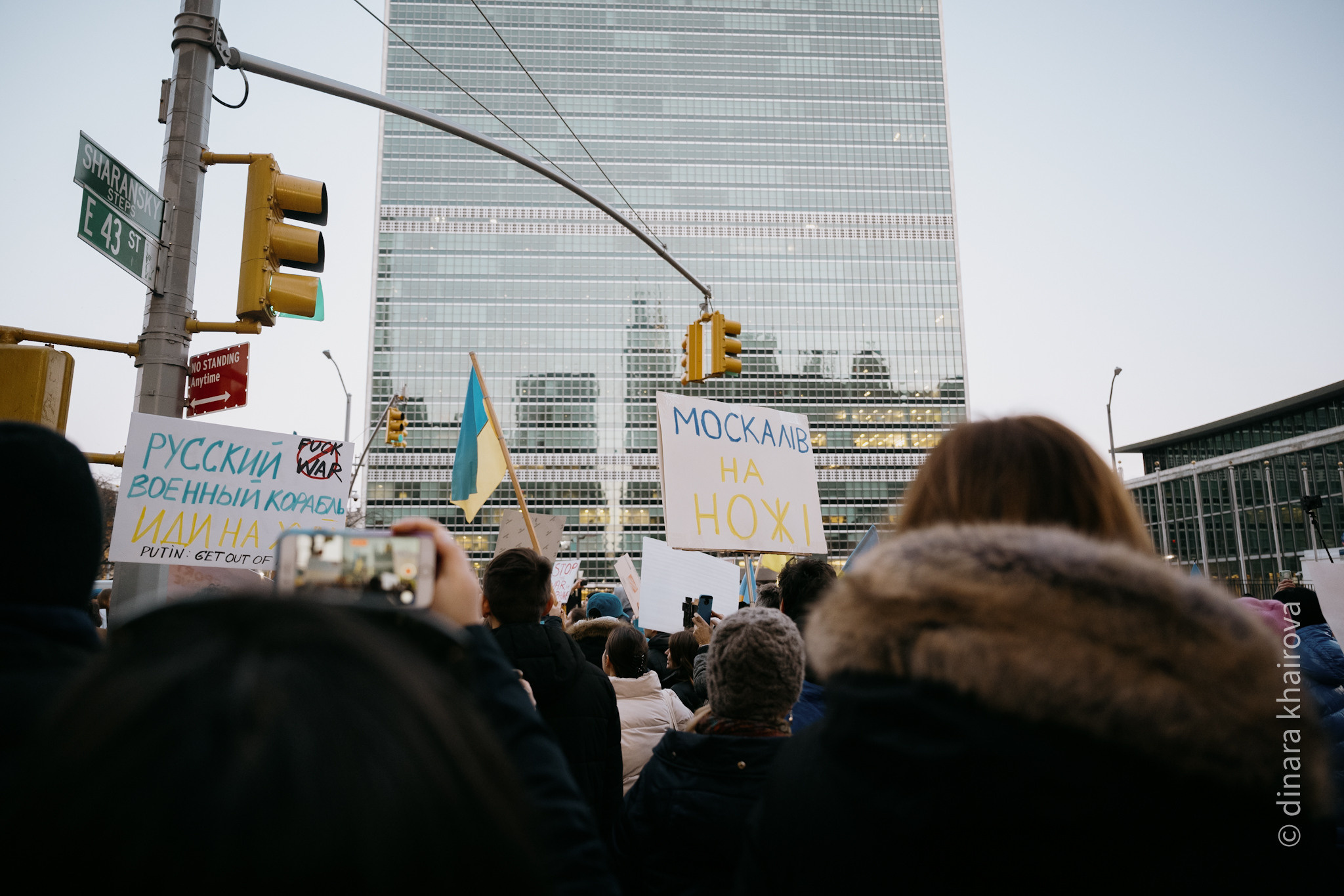 Peace. Dinara Khairova