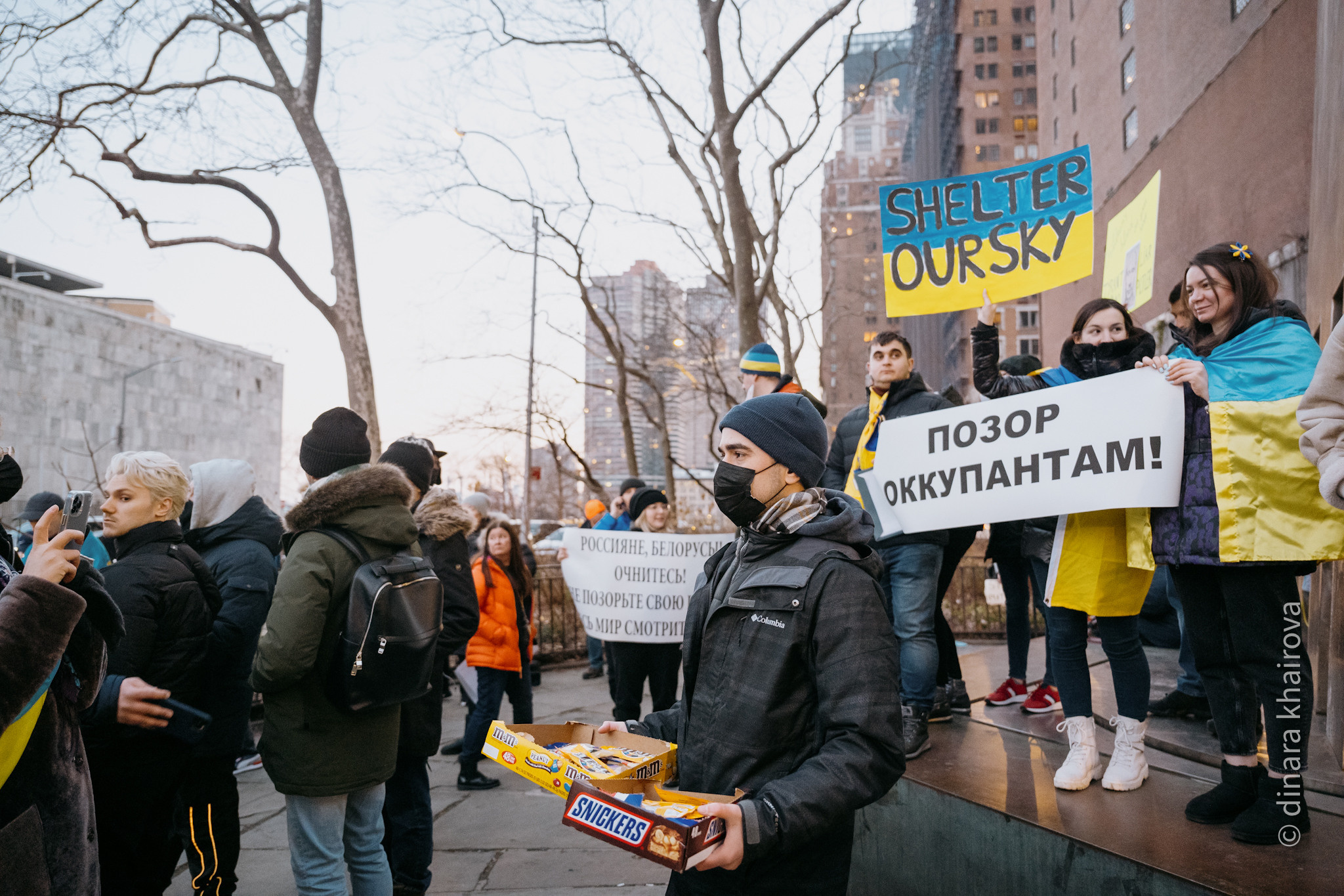 Peace. Dinara Khairova