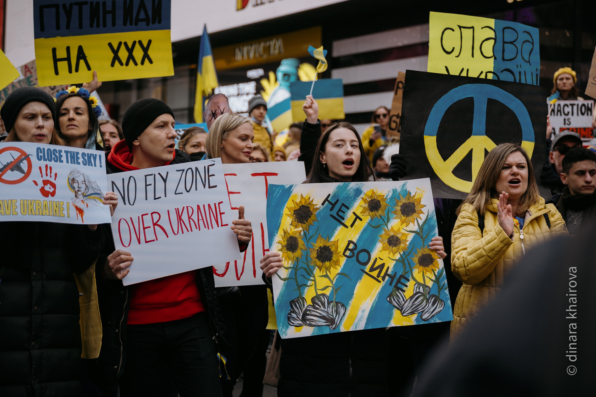 Peace. Dinara Khairova