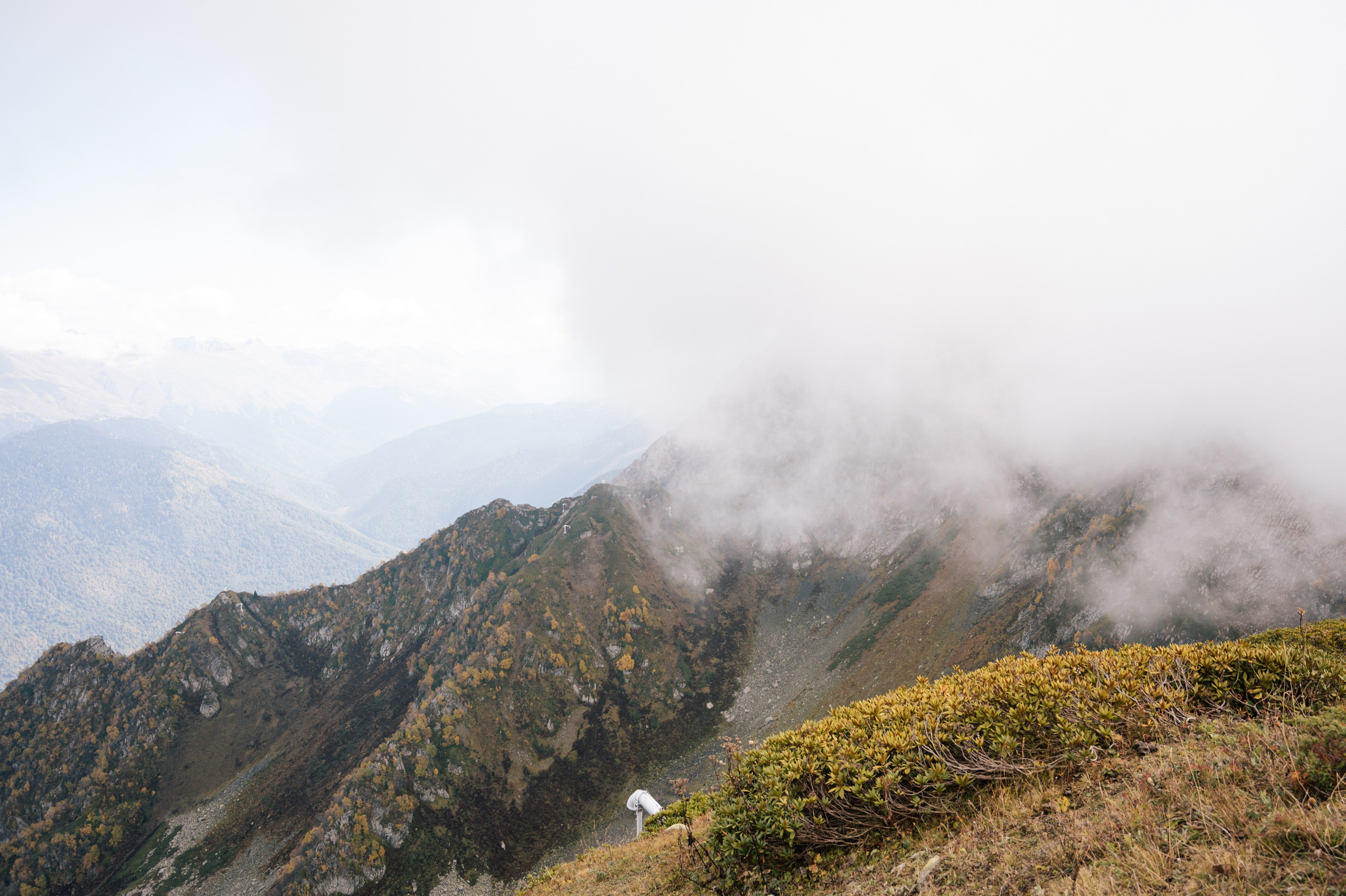 Выше гор только любовь. Свадебный и семейный фотограф Вероника Холод