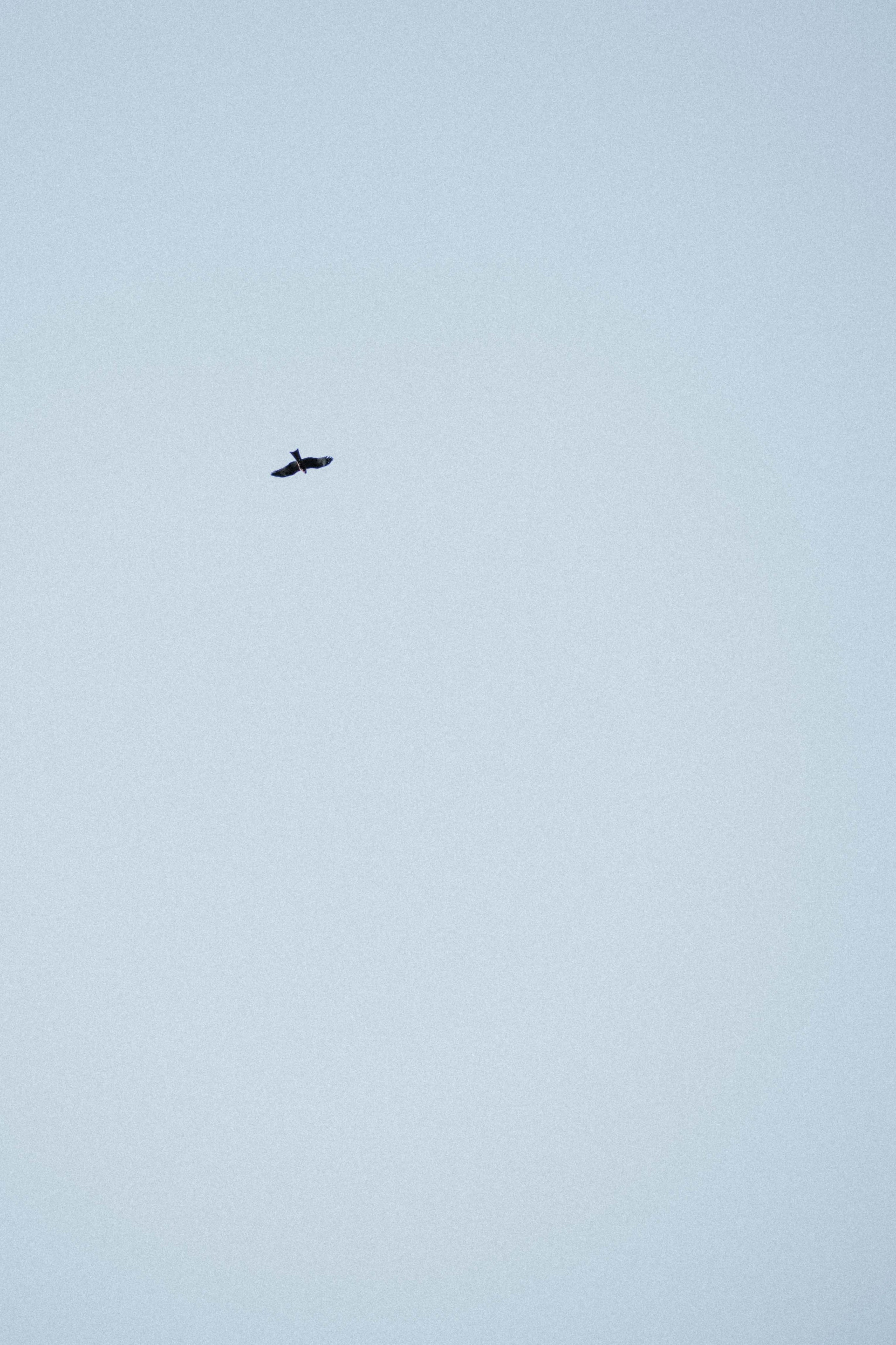 Semyon & Arina. Фотограф Валентин Бодня