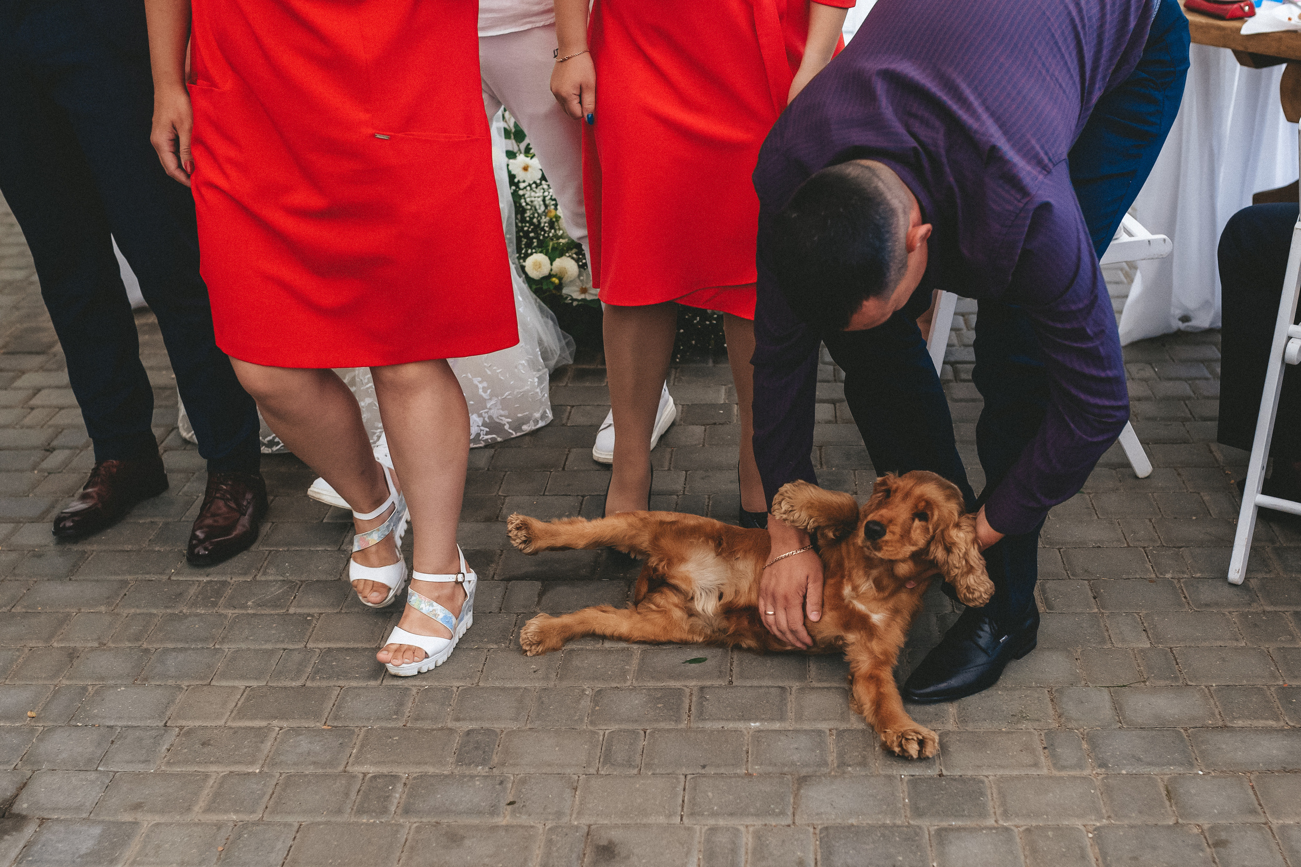 Alena & Pavel. Фотограф в Минске — Юлия Деяк. Фотосессии в Минске