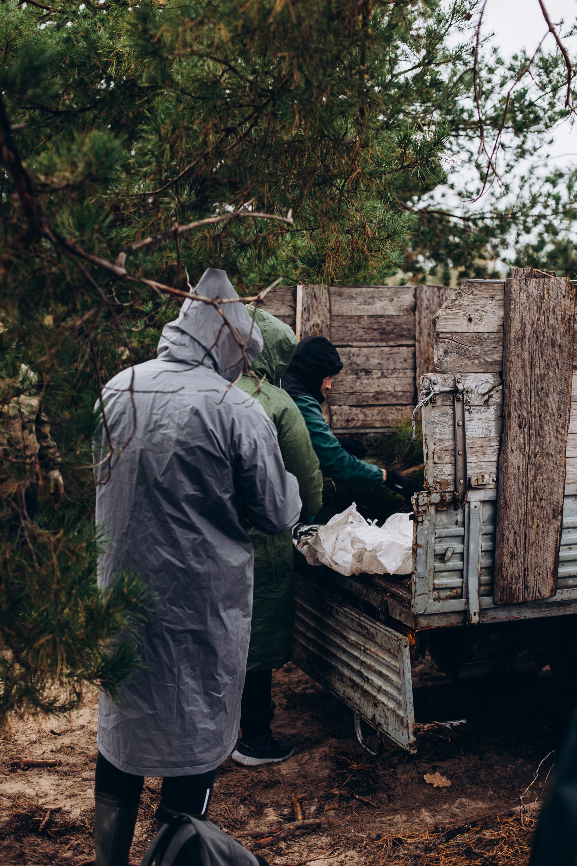 Посадка деревьев в Усть-Донецком районе. Артём Панфилов — Свадебный и семейный фотограф в Ростове-на-Дону
