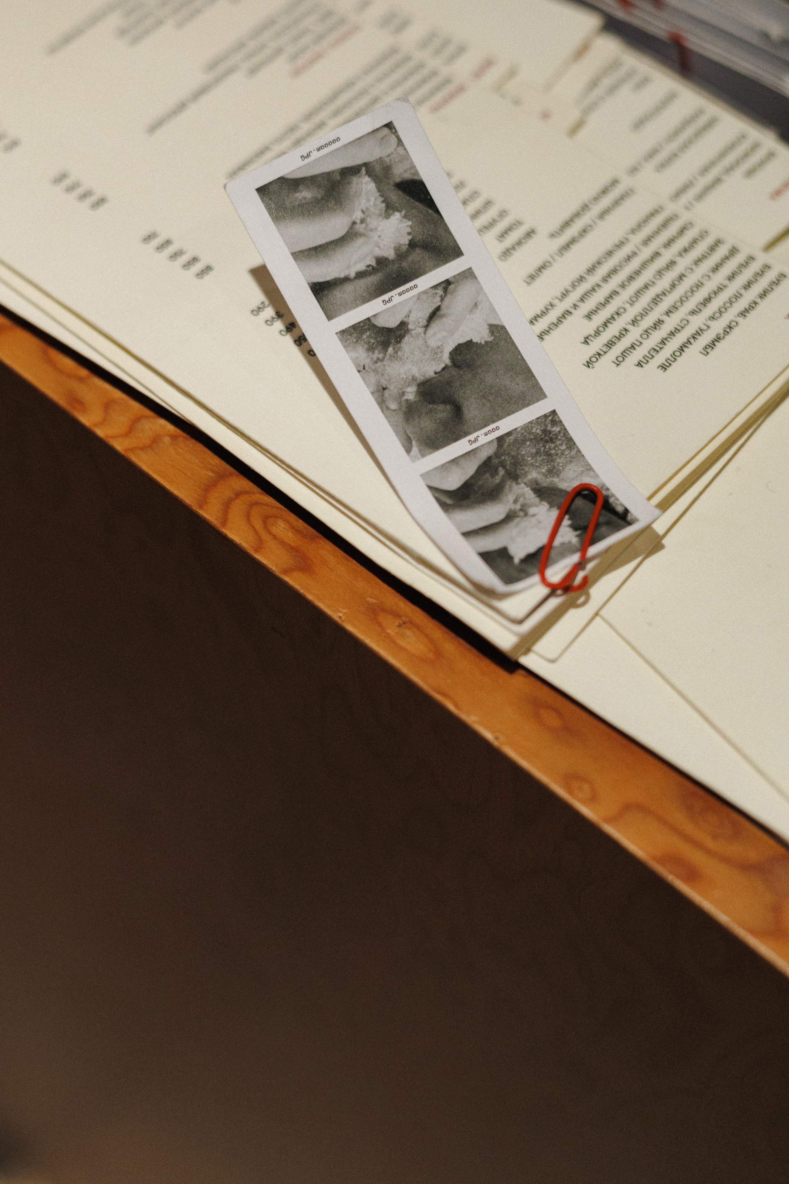 Aaark.cafe. Фотограф в Москве Виктория Губина