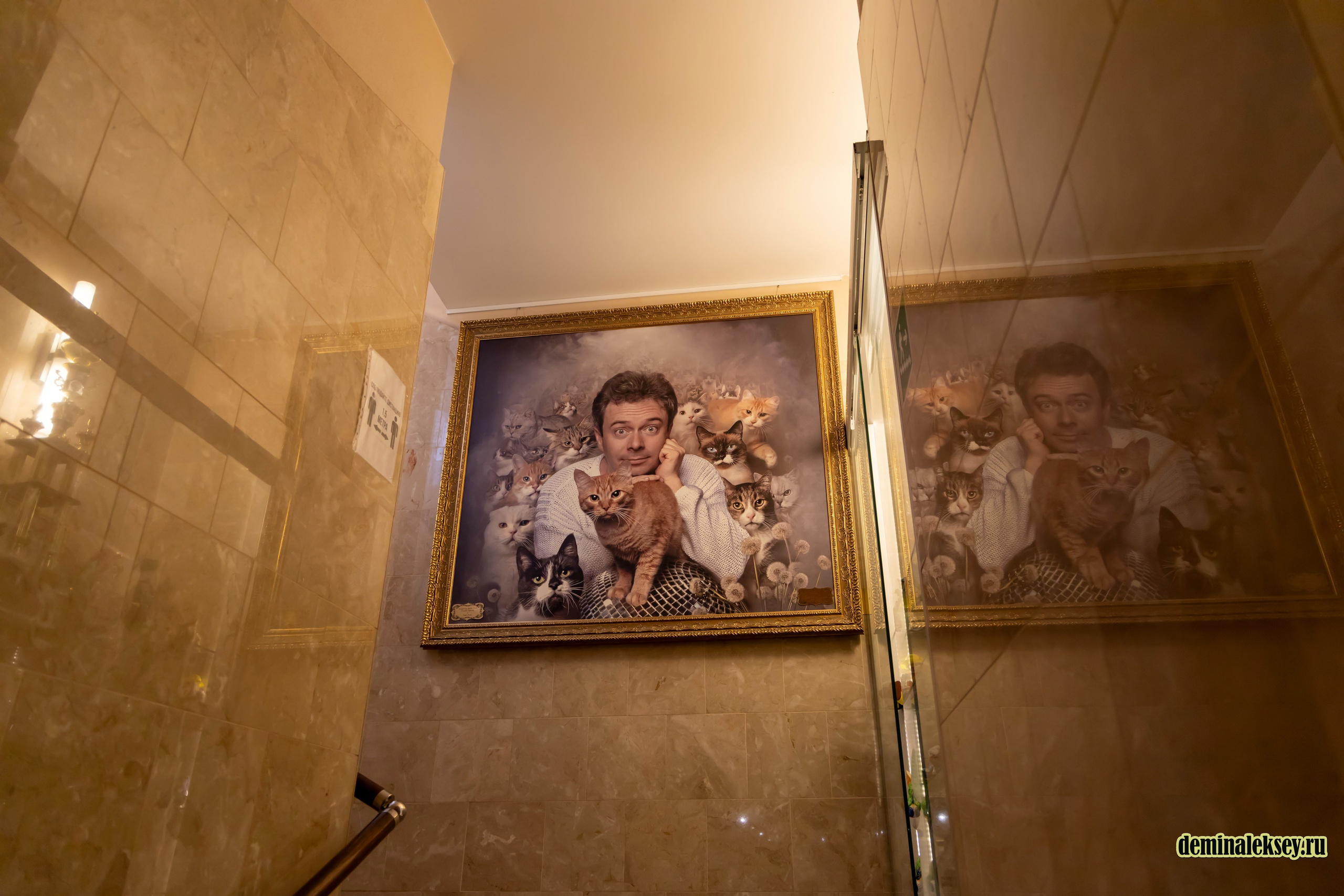 Театр кошек Куклачева 26 февраля 2025. Репортажный, семейный и студийный фотограф в Москве Демин Алексей