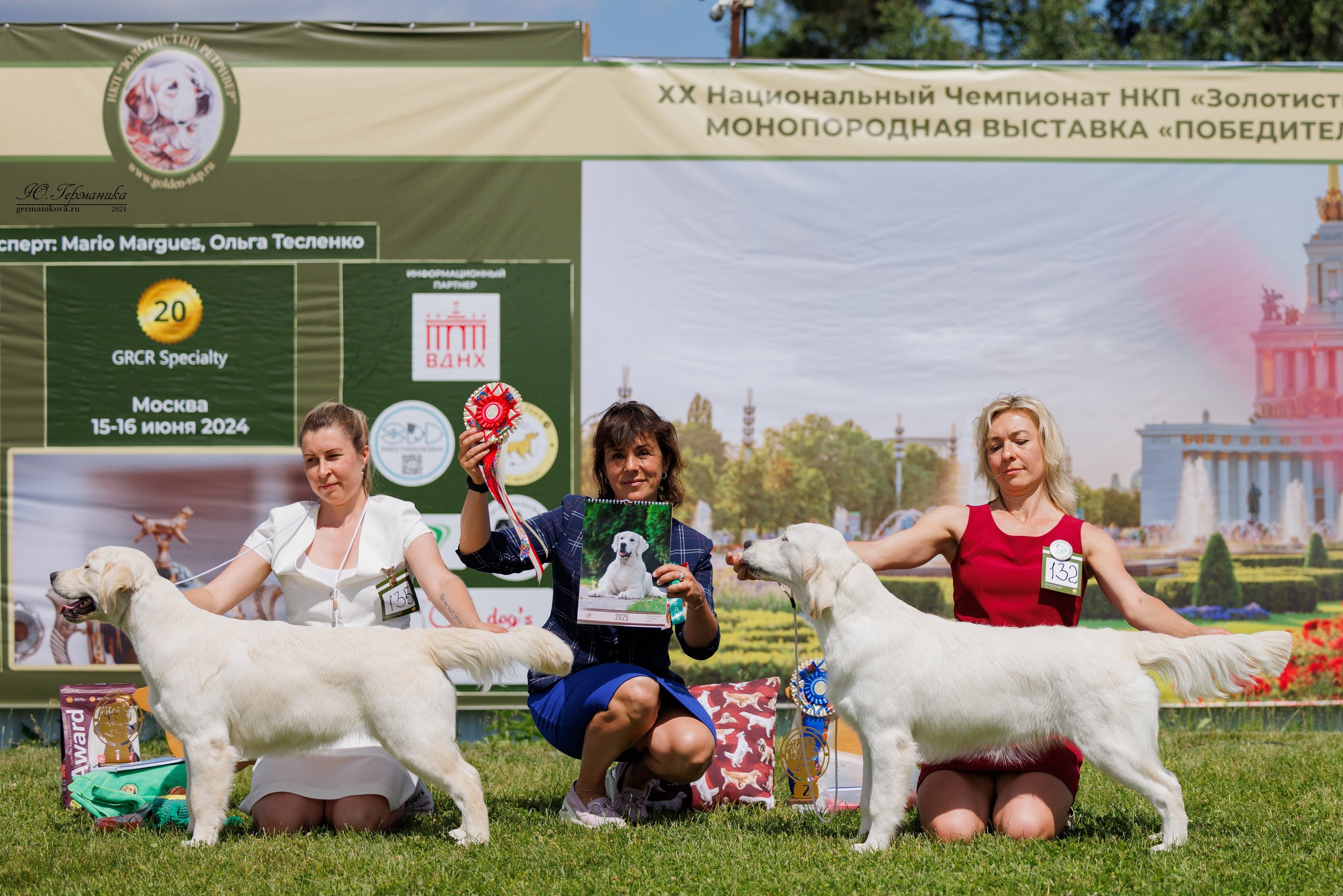 Голдены 15-16.06.2024. Фотограф-анималист Юлия Германика