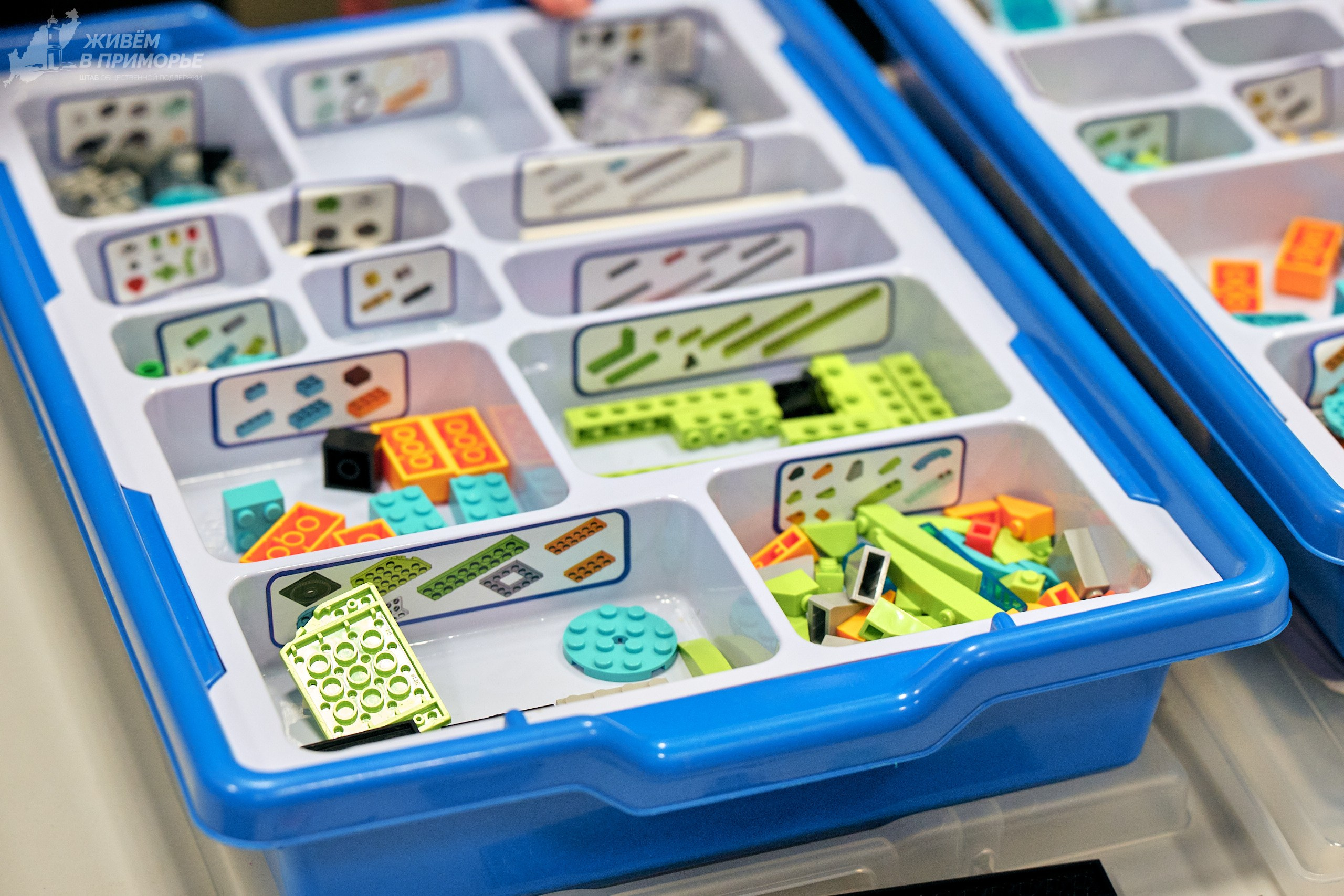 Ярмарка образования 2025.03.16. Профессиональный репортажный фотограф Инесса Иминова