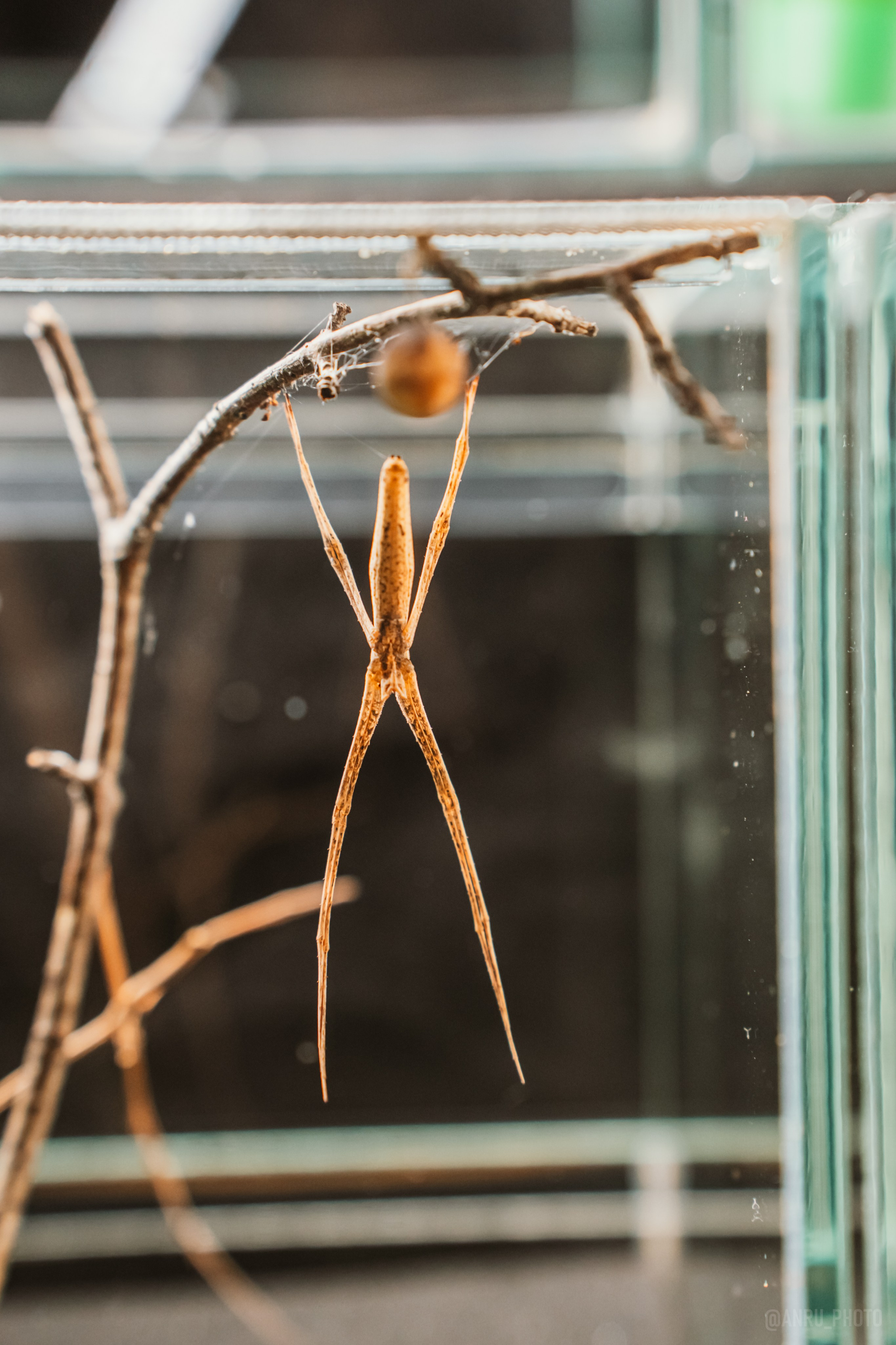 Рептилиум. Репортажный фотограф Анастасия Рубцова