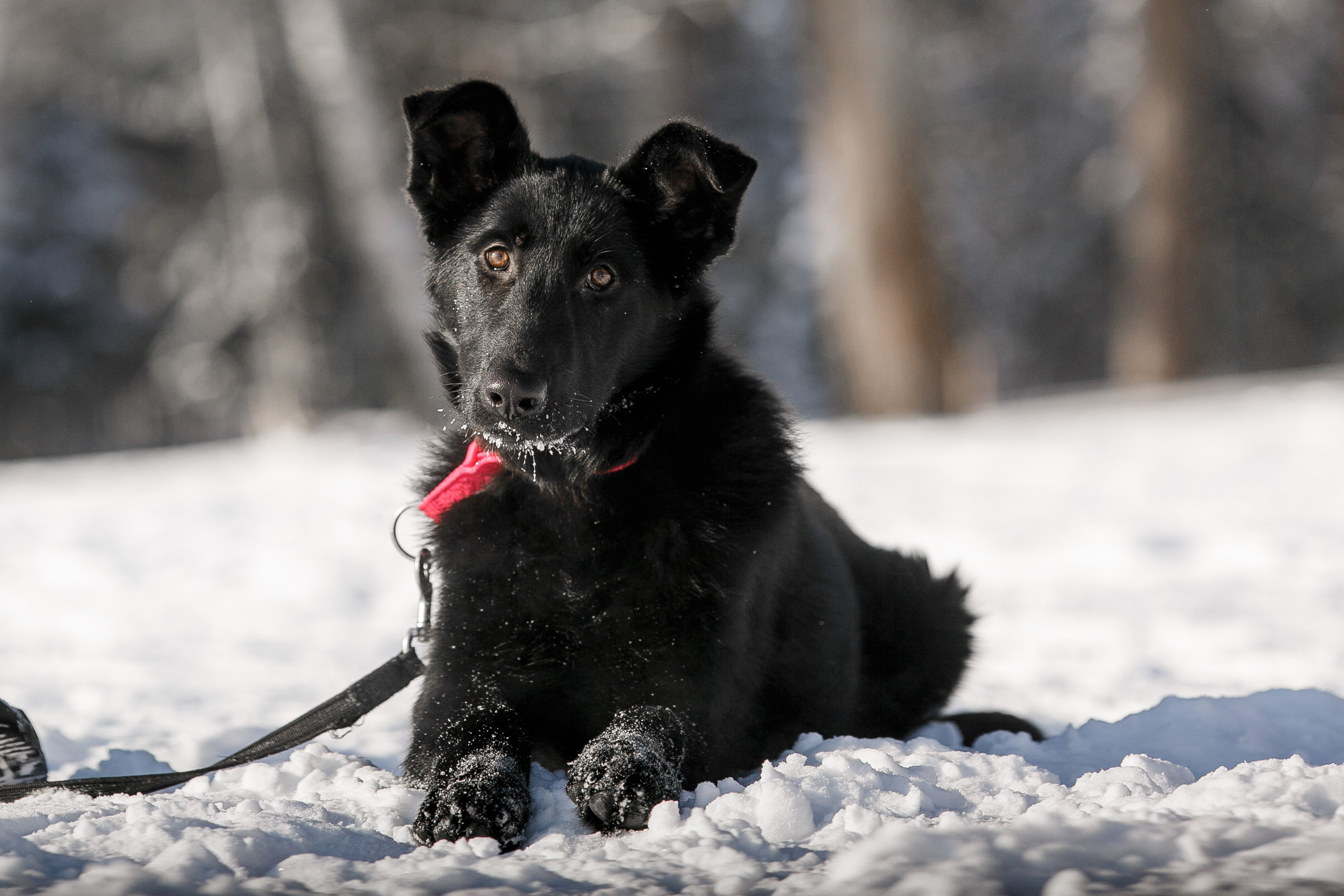 Репортажный фотограф Борис Геер