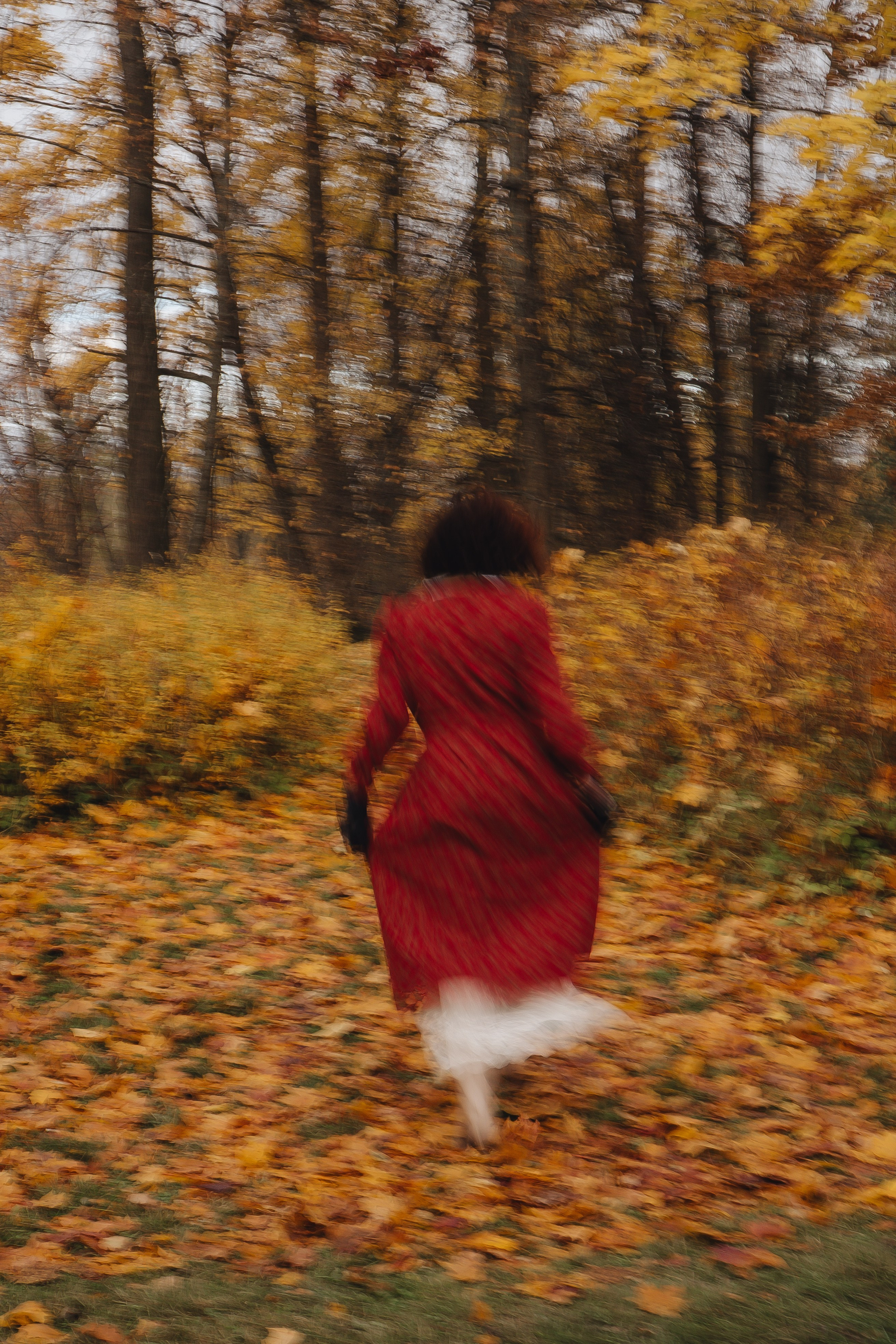 Осенний парк. Профессиональный фотограф, Санкт-Петербург — Виктория Богомолова