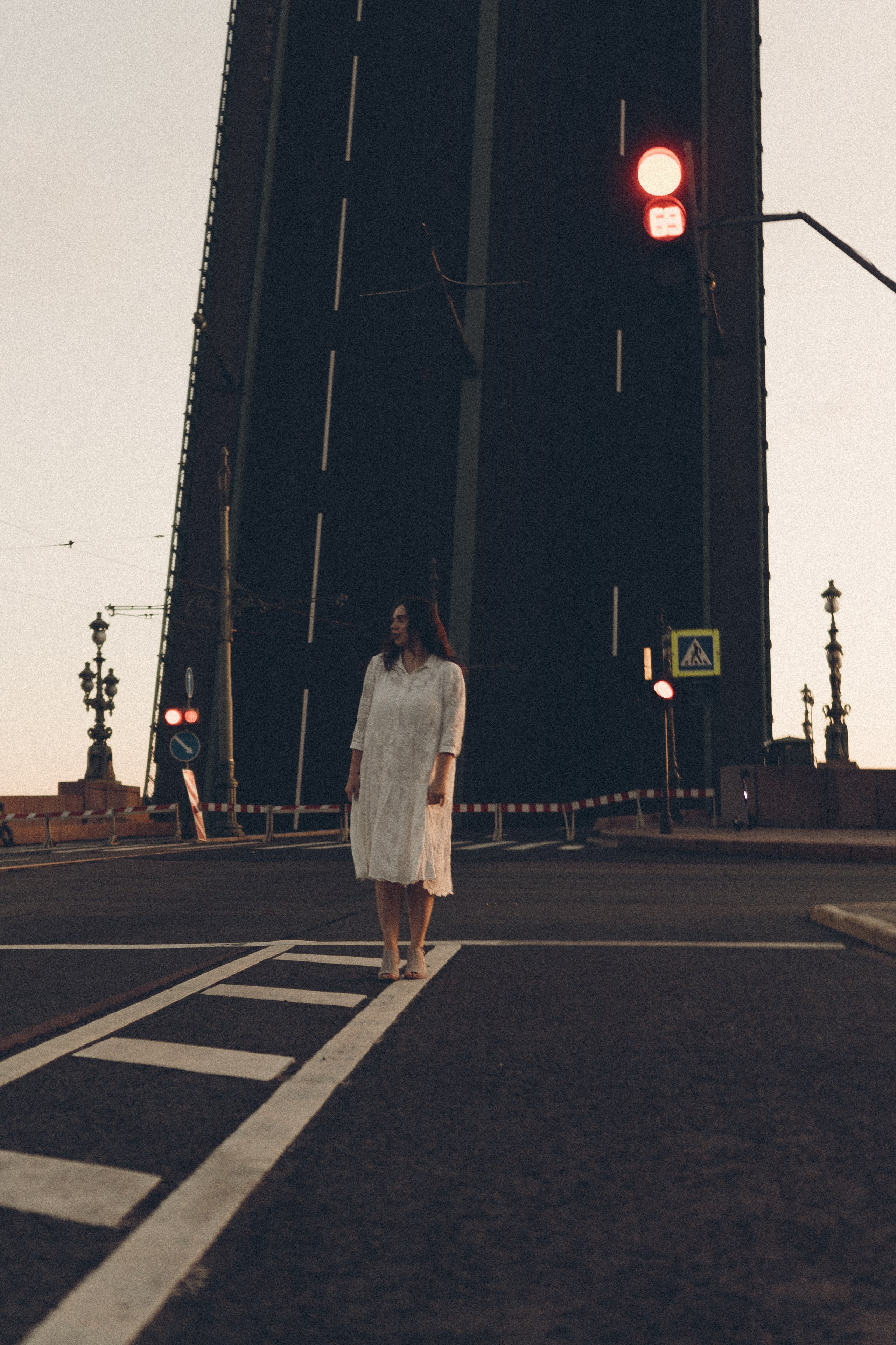 РАССВЕТ С РАЗВОДНЫМИ МОСТАМИ. Профессиональный фотограф, Санкт-Петербург — Виктория Богомолова