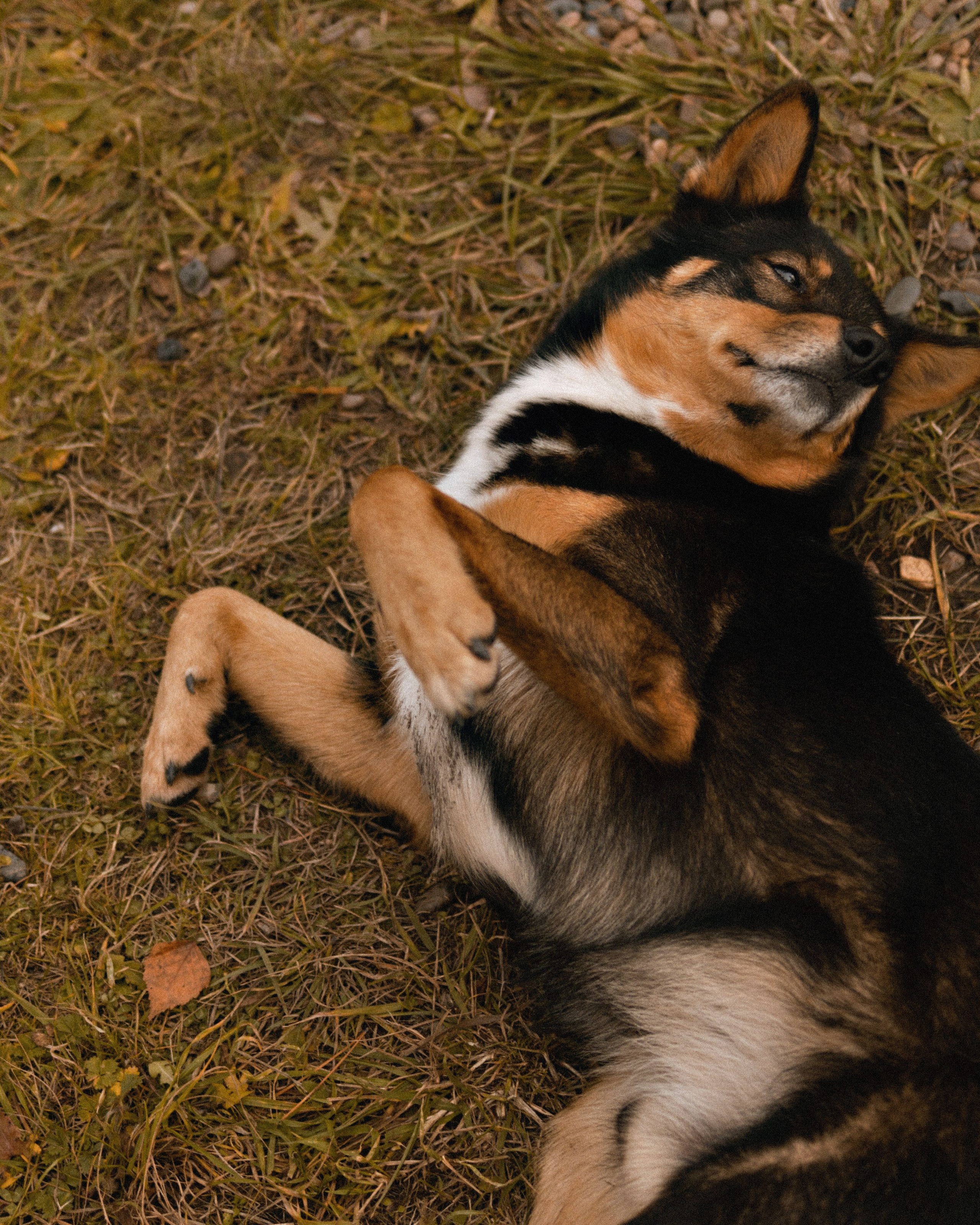 Софья. Фотограф в Красноярске Ксения Дмитрик