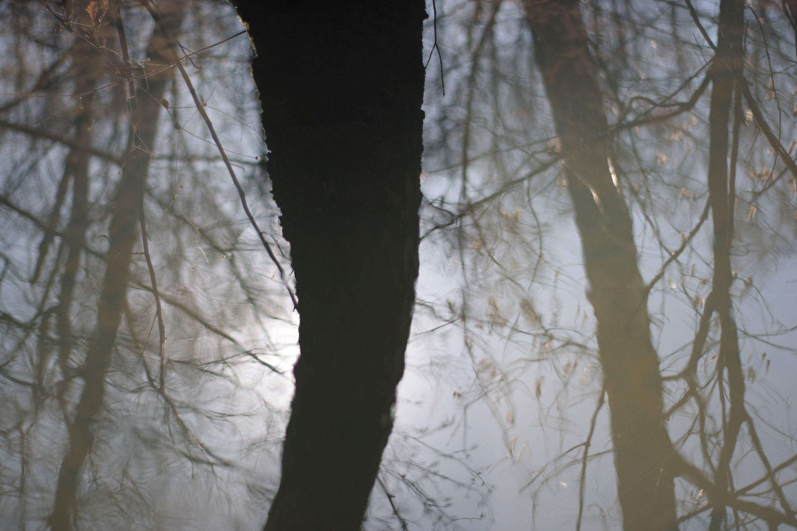 Старое природное, отбирала Katamount (Катерина Горохова). Главная