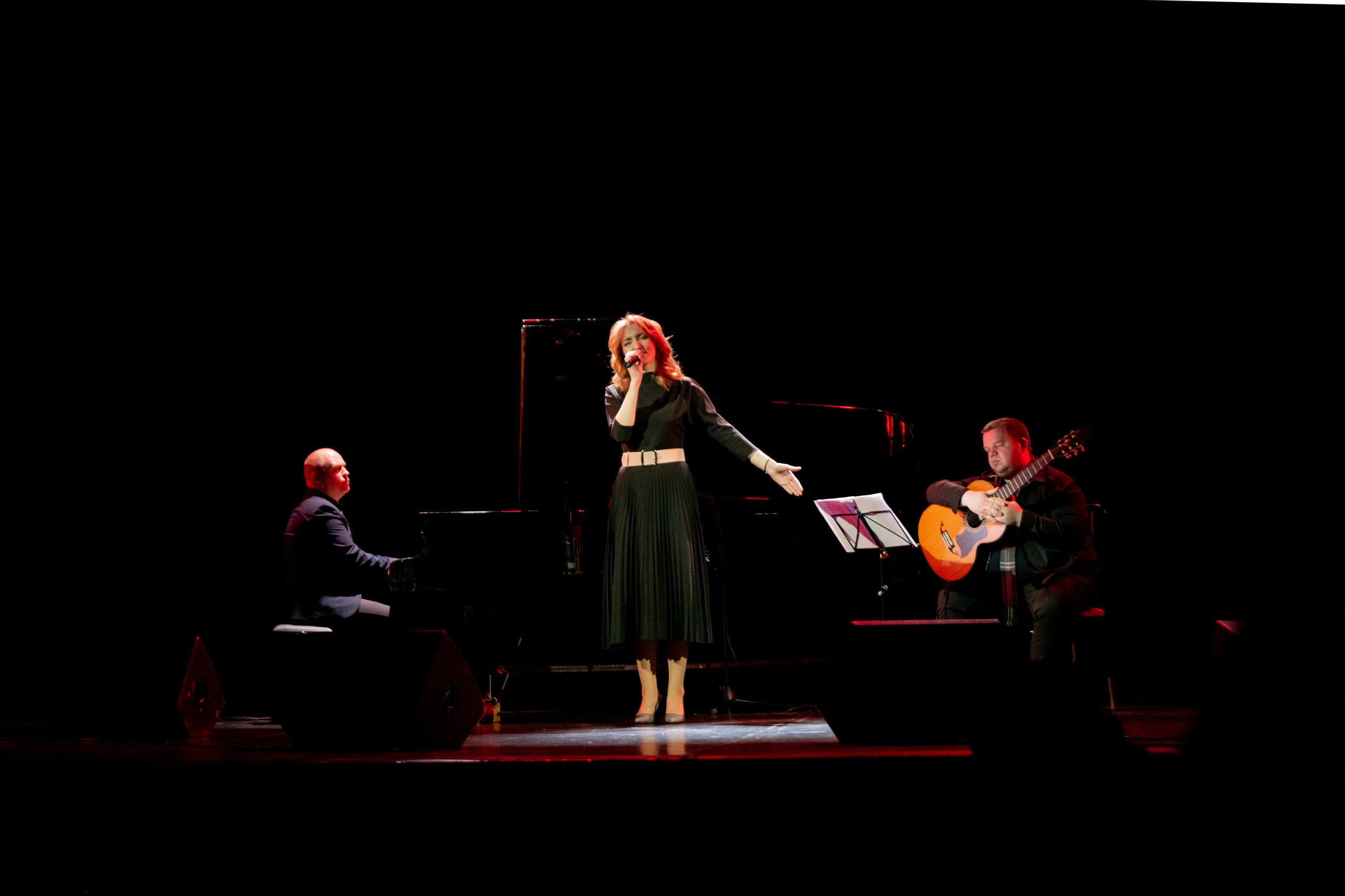 Концертная фотография. Арт студия «Пегас». Фото- и видео- съемка