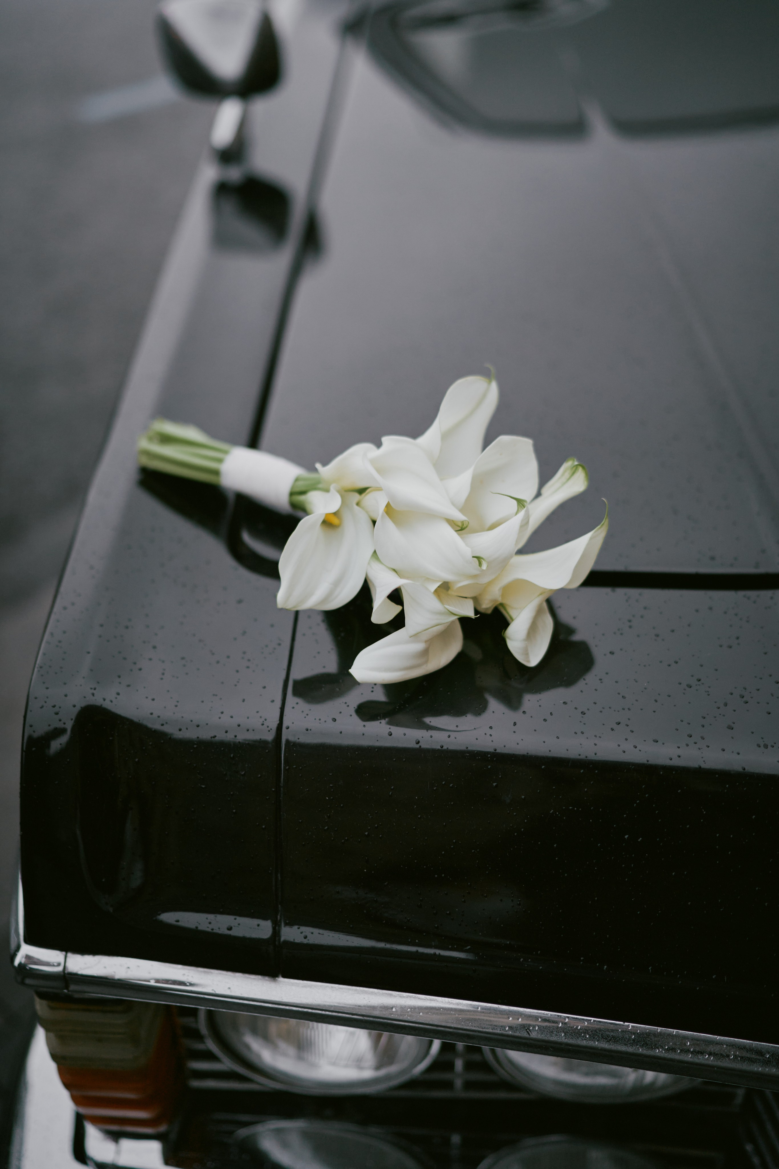 Лера и Валера. Фотограф в Санкт-Петербурге | Аня Маленчук