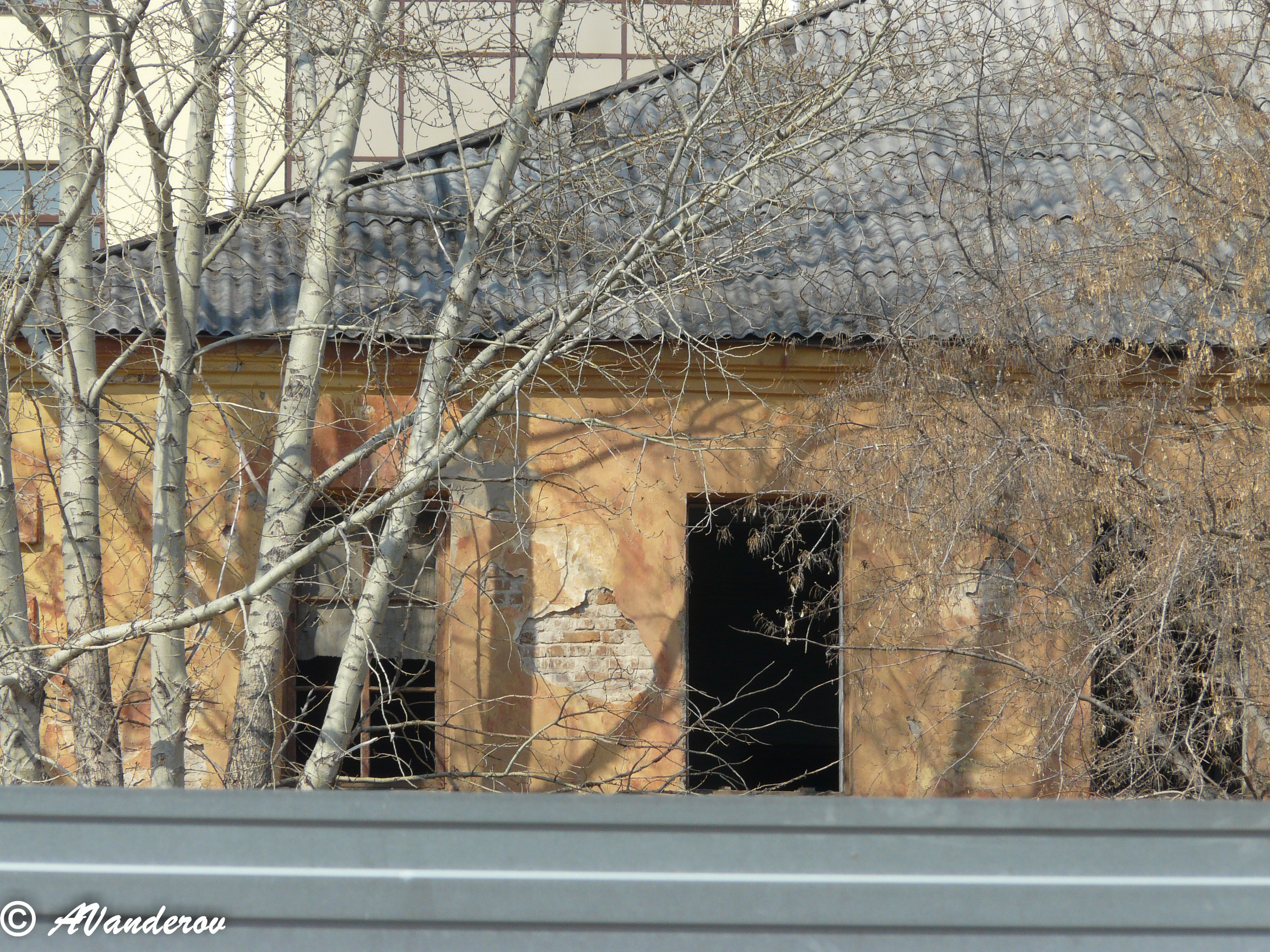 Омск 2008. Фотограф Омск | Александр Вандеров