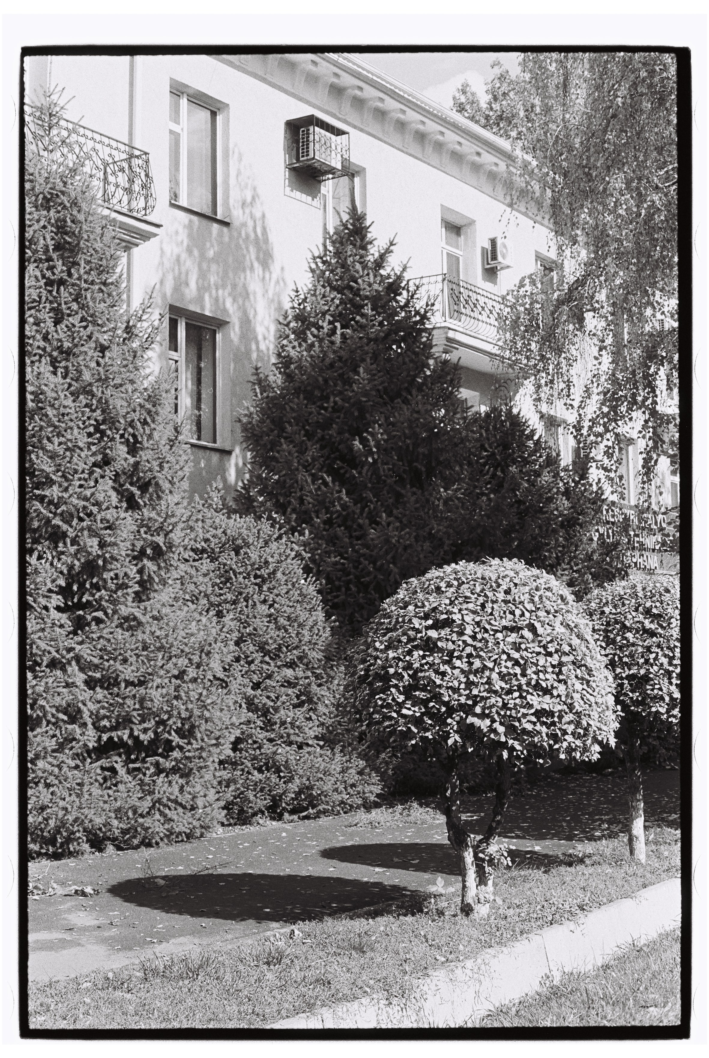 Almaty. Philipp Yelistratov