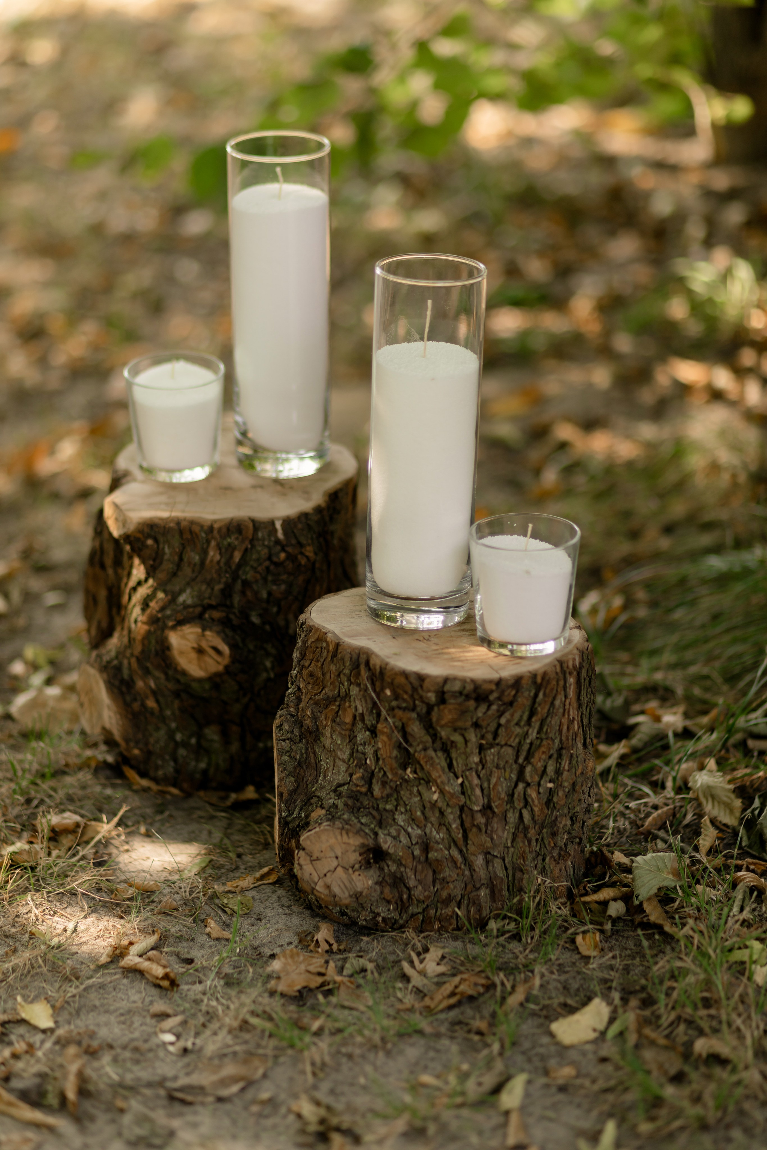 Виноградники. Dima Lemeshevsky