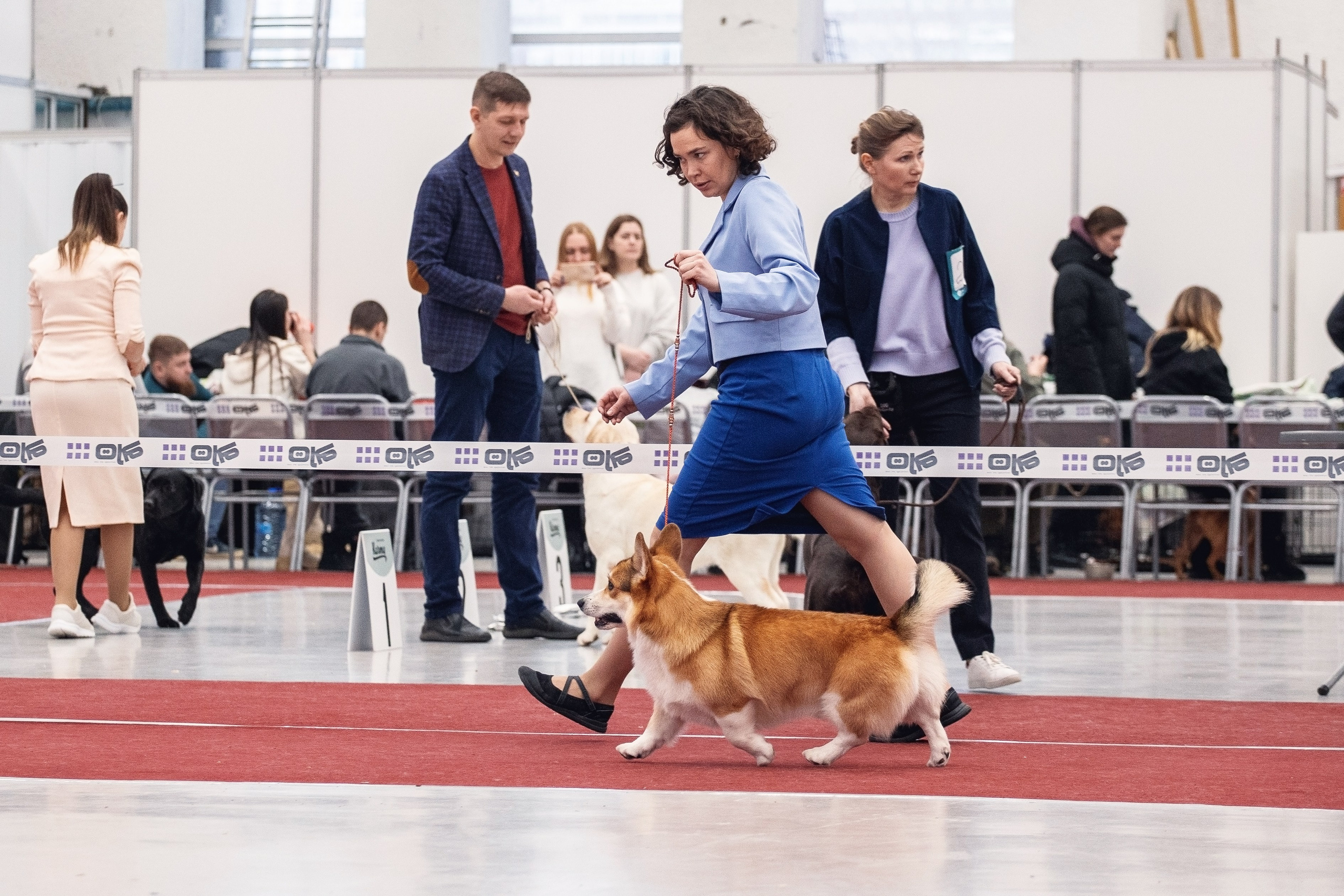 20.01. 2024 Тюмень. YULA KOLESOVA | Фотограф — Анималист | Художник | Тюмень