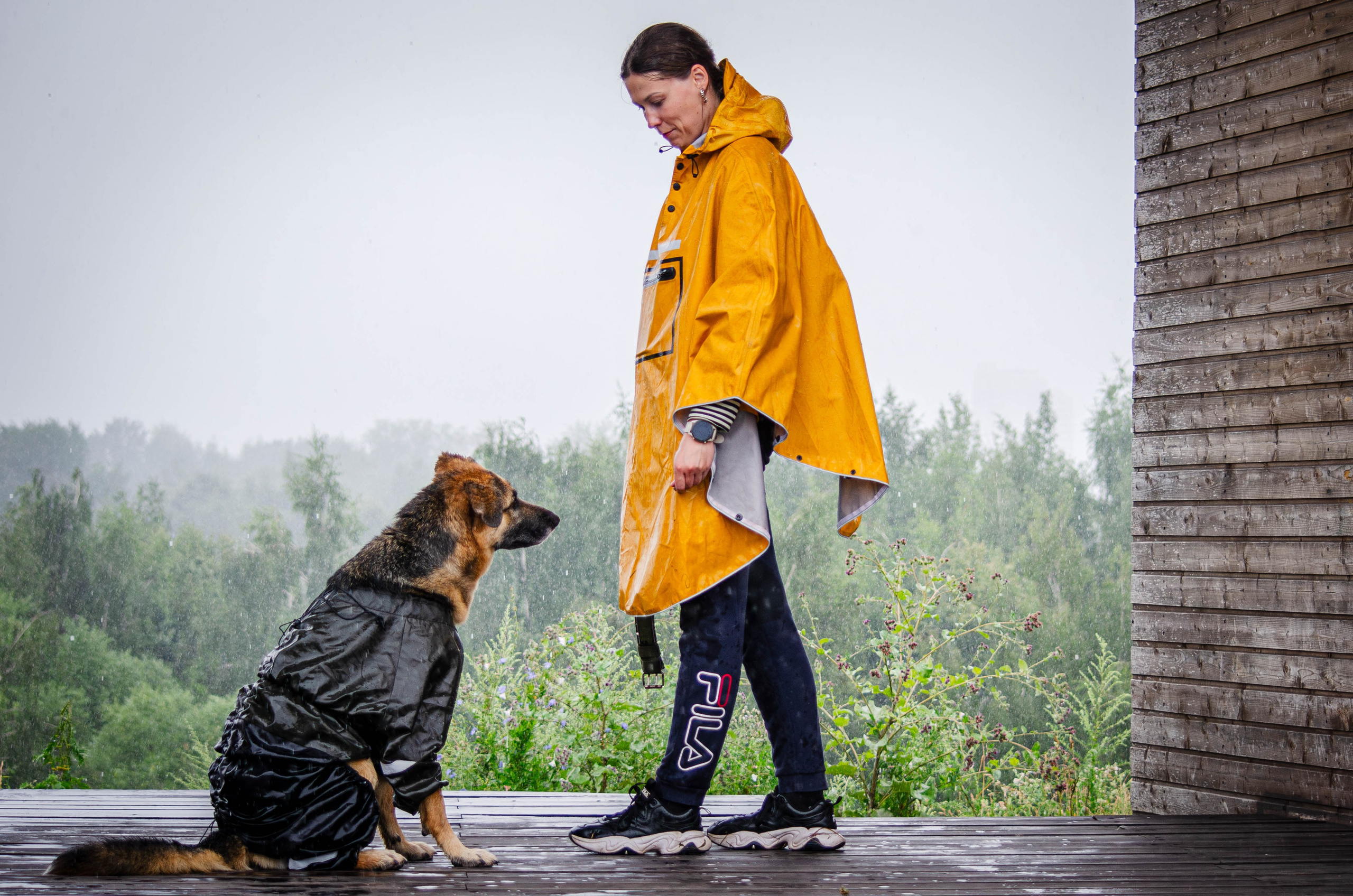 Арья и Оззи. Фотограф Светлана Блинова, Москва и Московская область