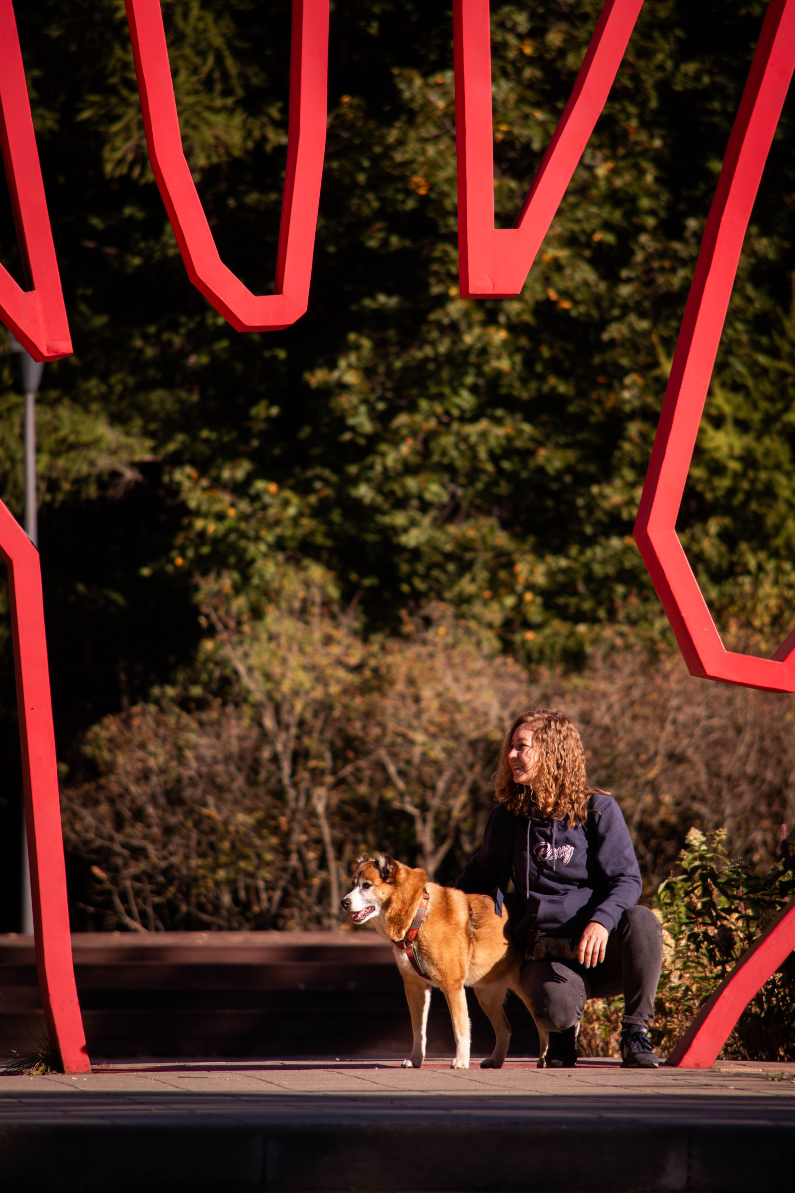 Ник и Полина. Фотограф Светлана Блинова, Москва и Московская область