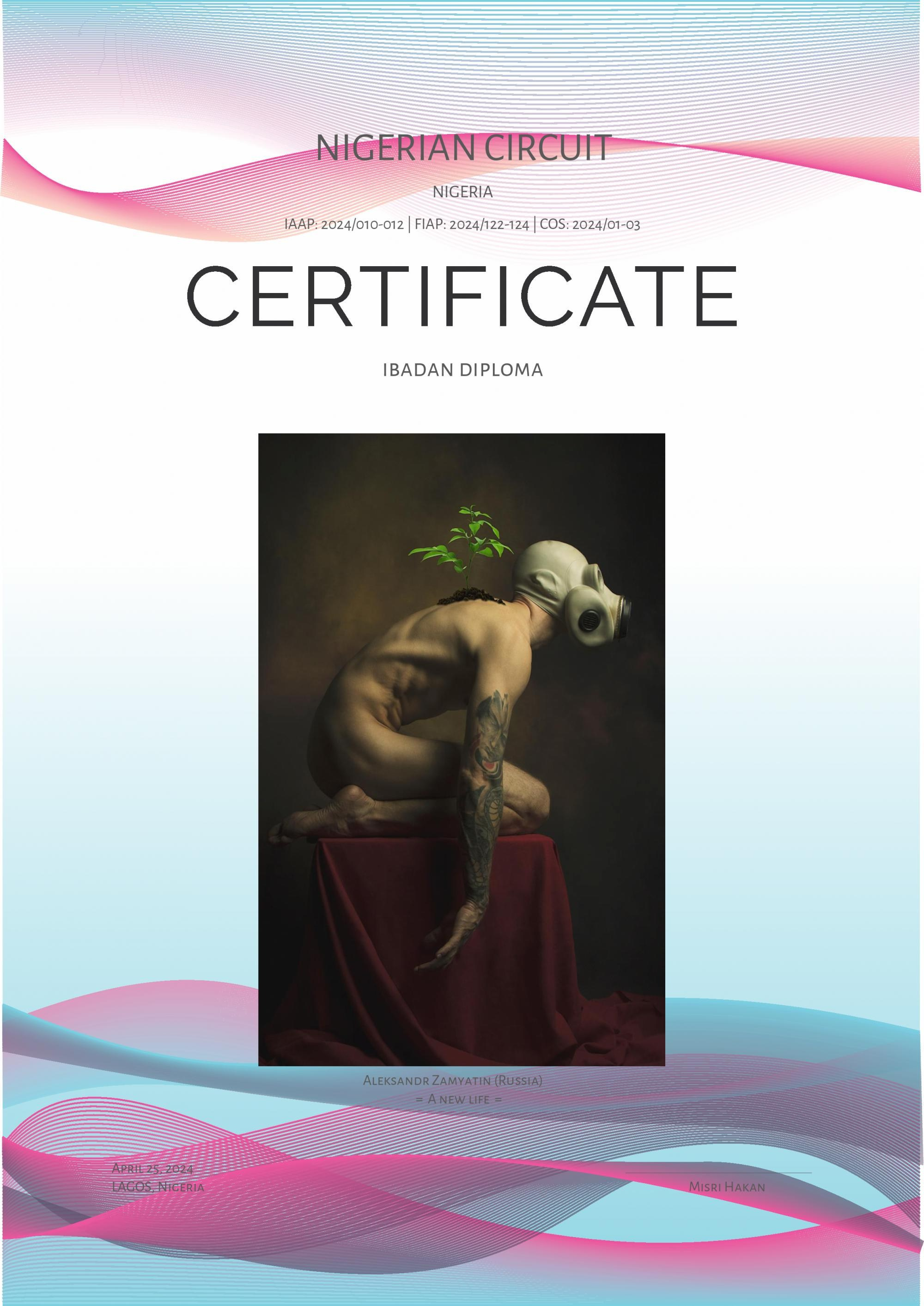 Мои награды