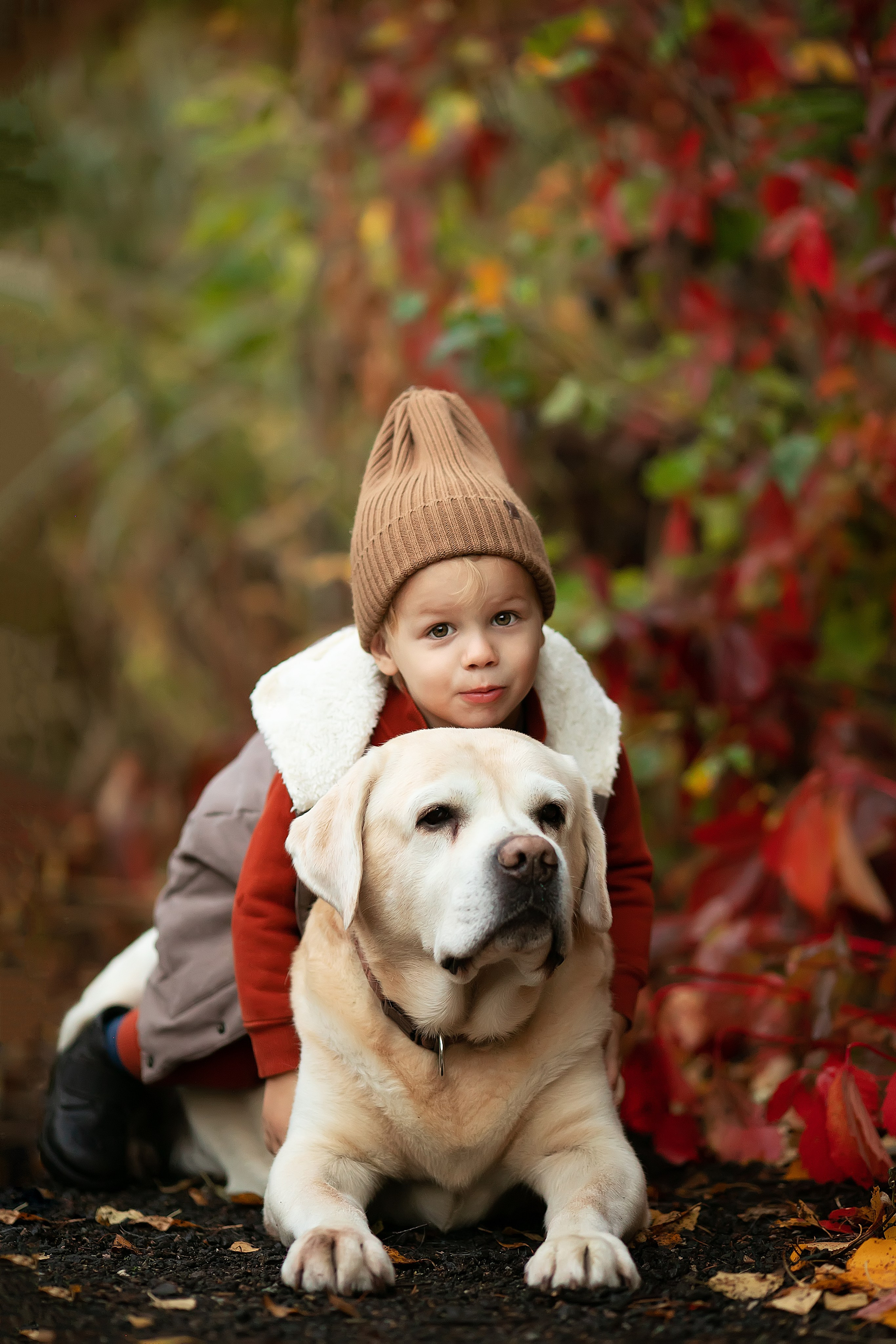 Сказочная осень. Главная