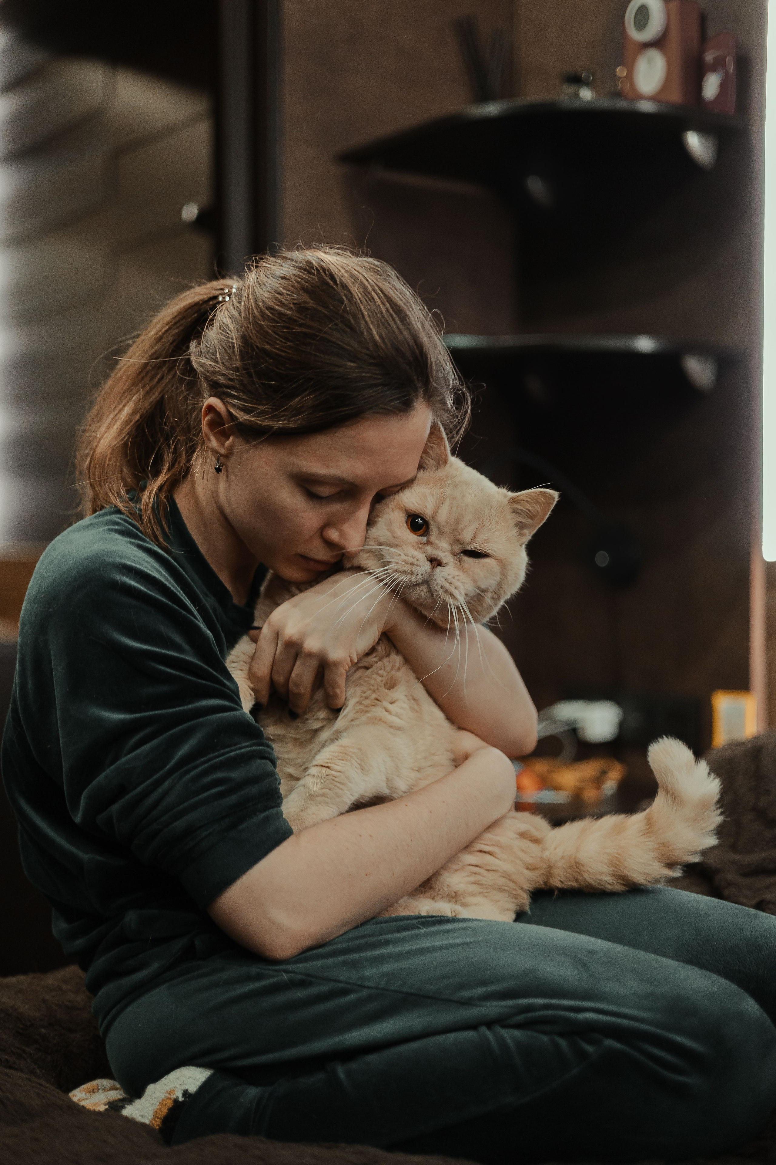 Екатерина Справцева фотограф анималист - портфолио фото. Фотограф Анималист Екатерина Справцева в Нижнем Новгороде