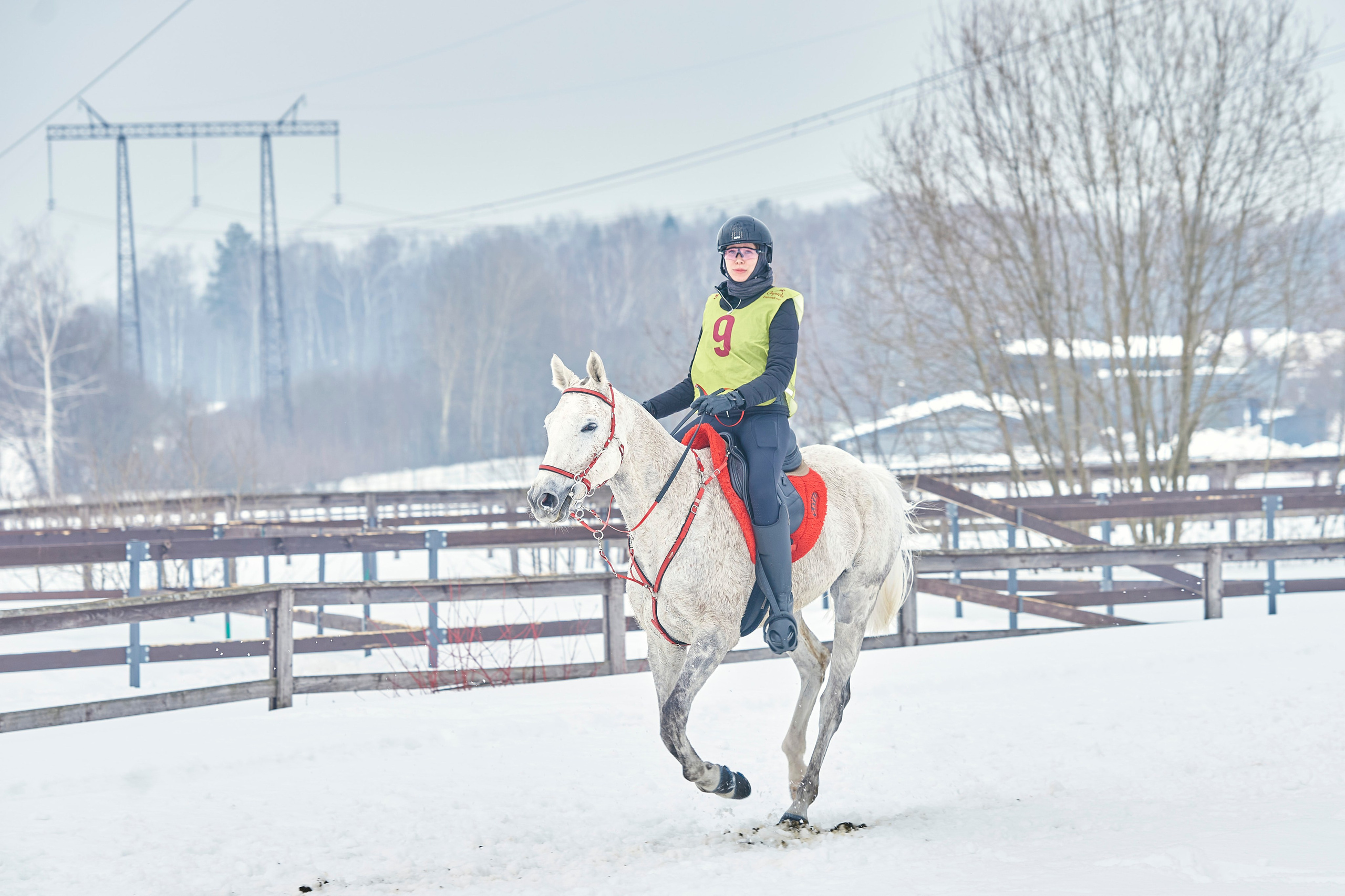 HORSE RACING. Фотограф Наталья Леонова