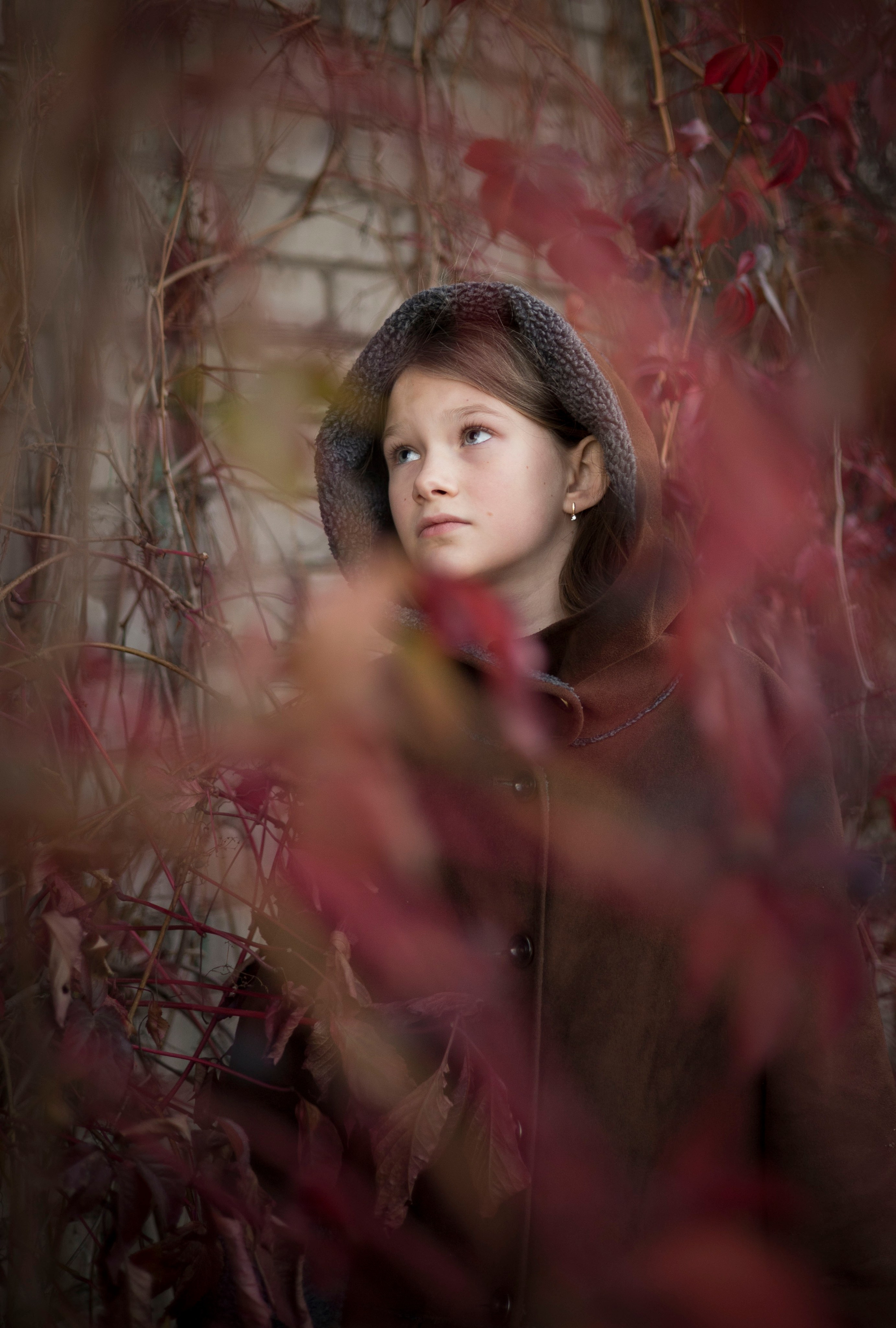Дикий виноград. Семейный, детский и ньюборн фотограф. Новая Москва