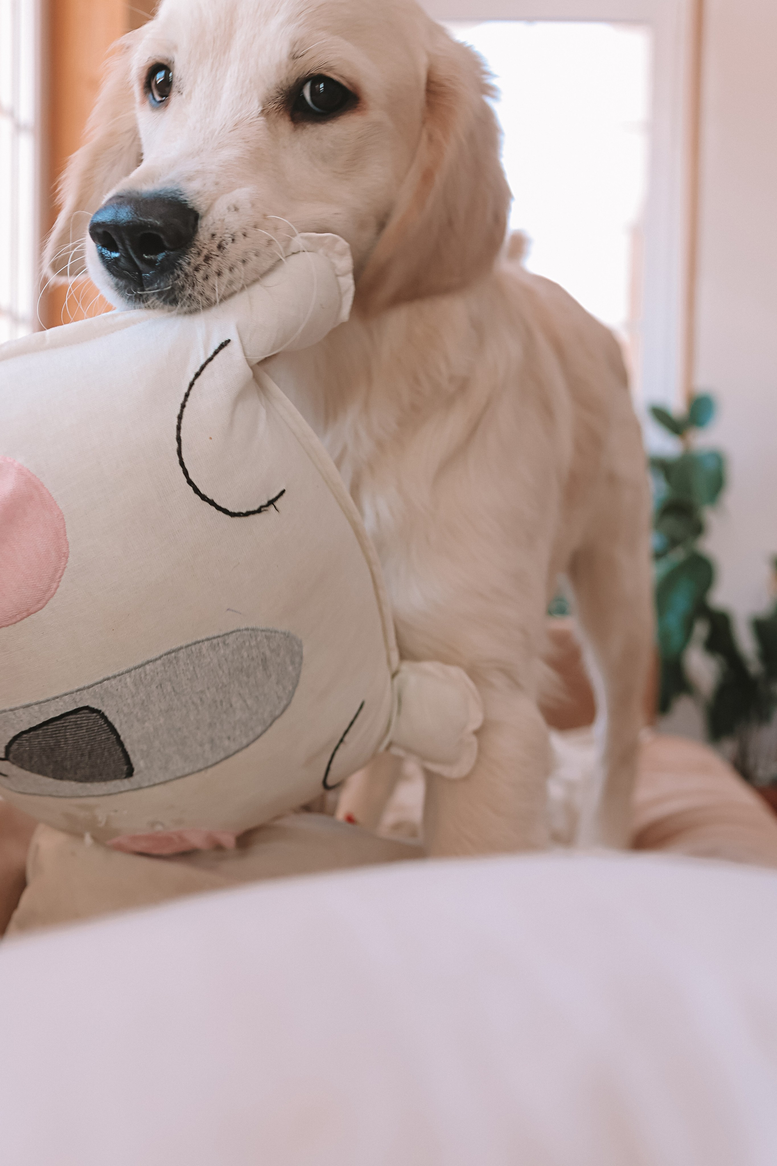 Наська (Чусовой). Семейный фотограф Тюмень, фотограф на роды Салмина Мария