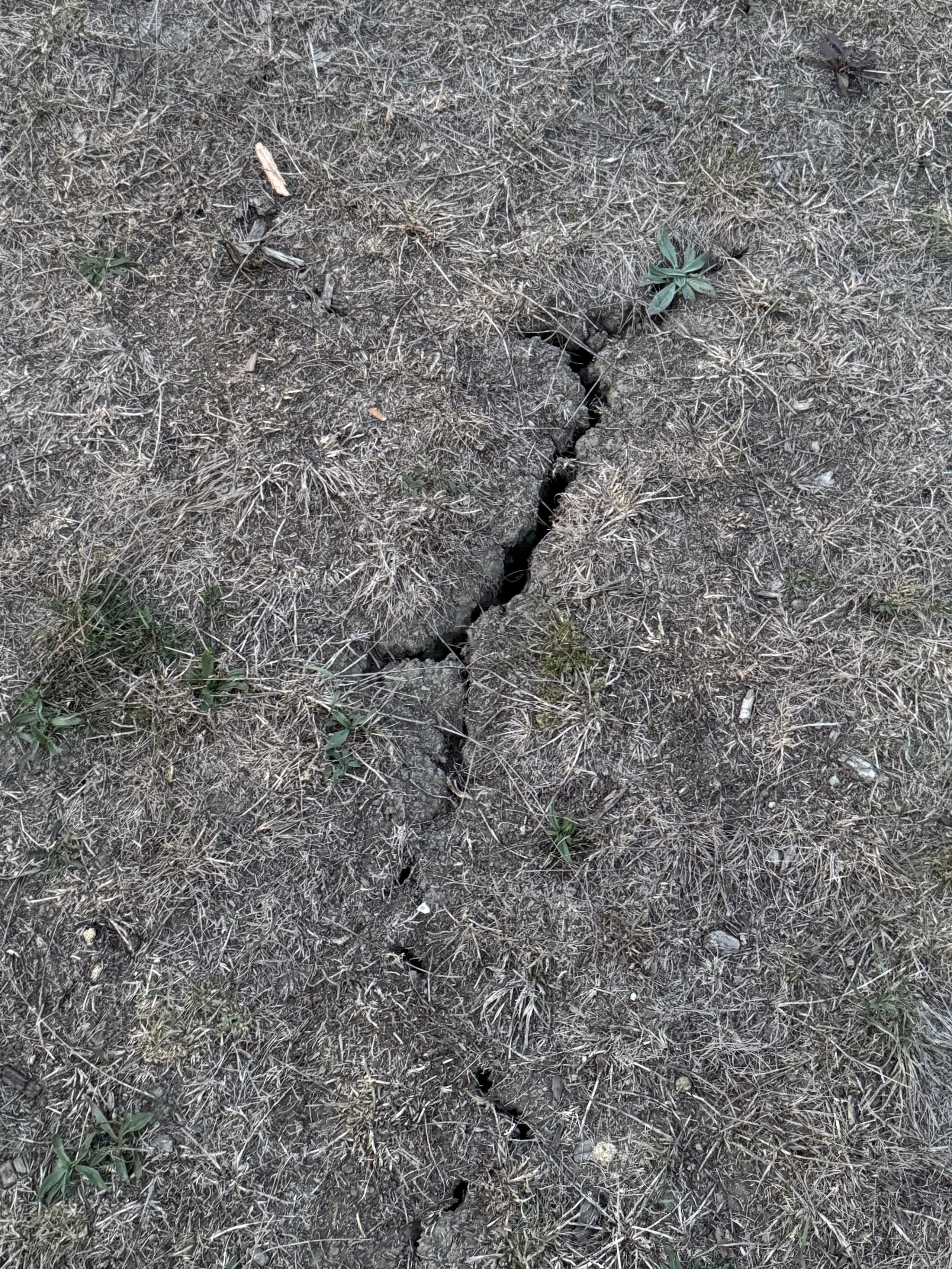 Горячий Ключ (2024-09-20). Собор Отрасли