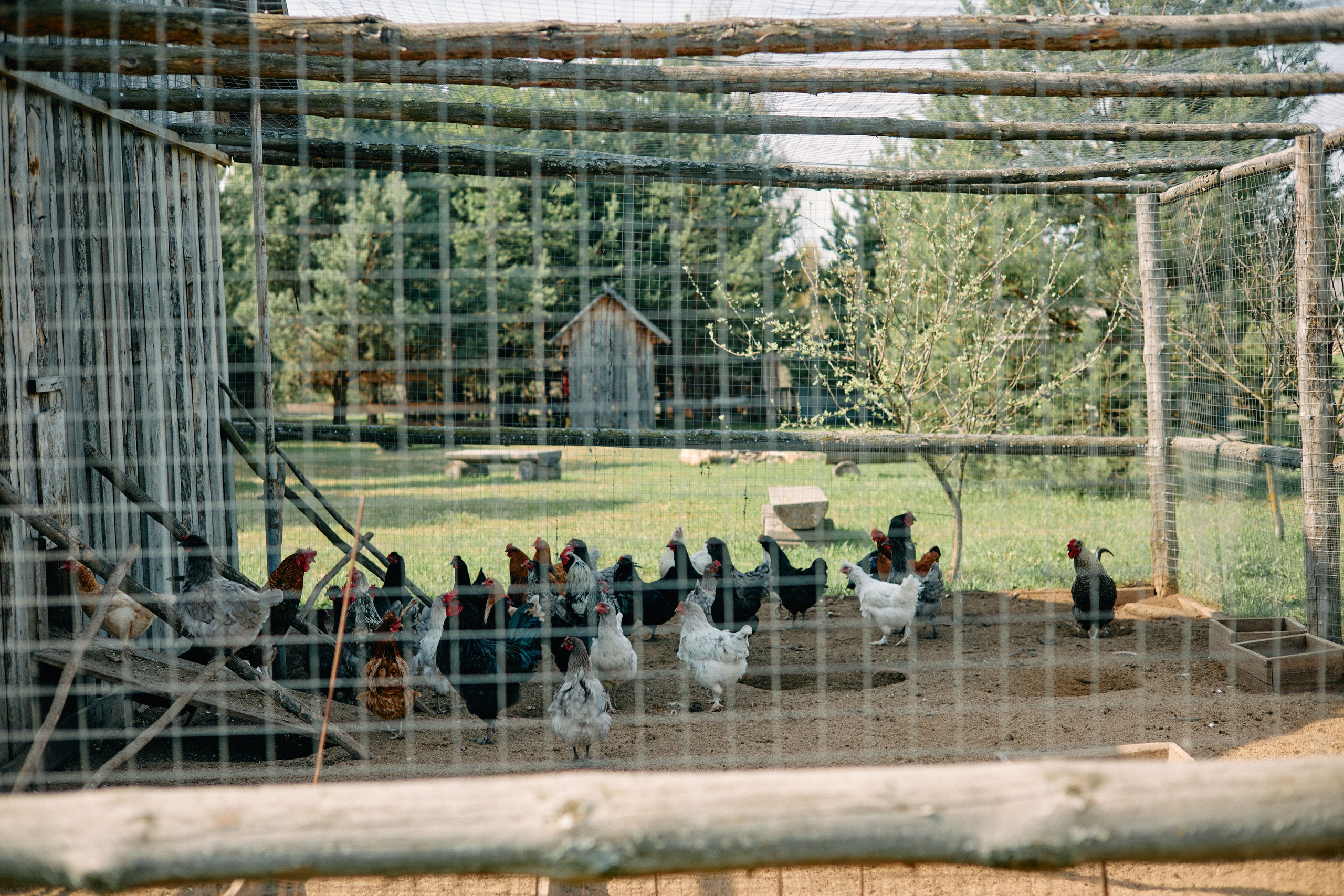 Бутик-отель Поле летом. Профессиональный Фотограф во Владимире, в Москве и в Суздале — Полина Романычева