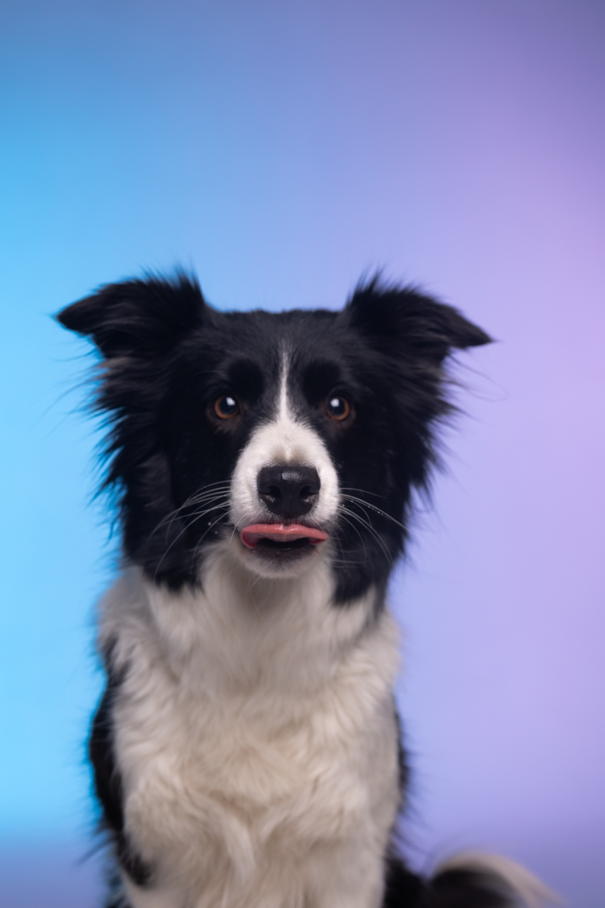 Неон. Фотограф анималист Кристина Карпова, Москва