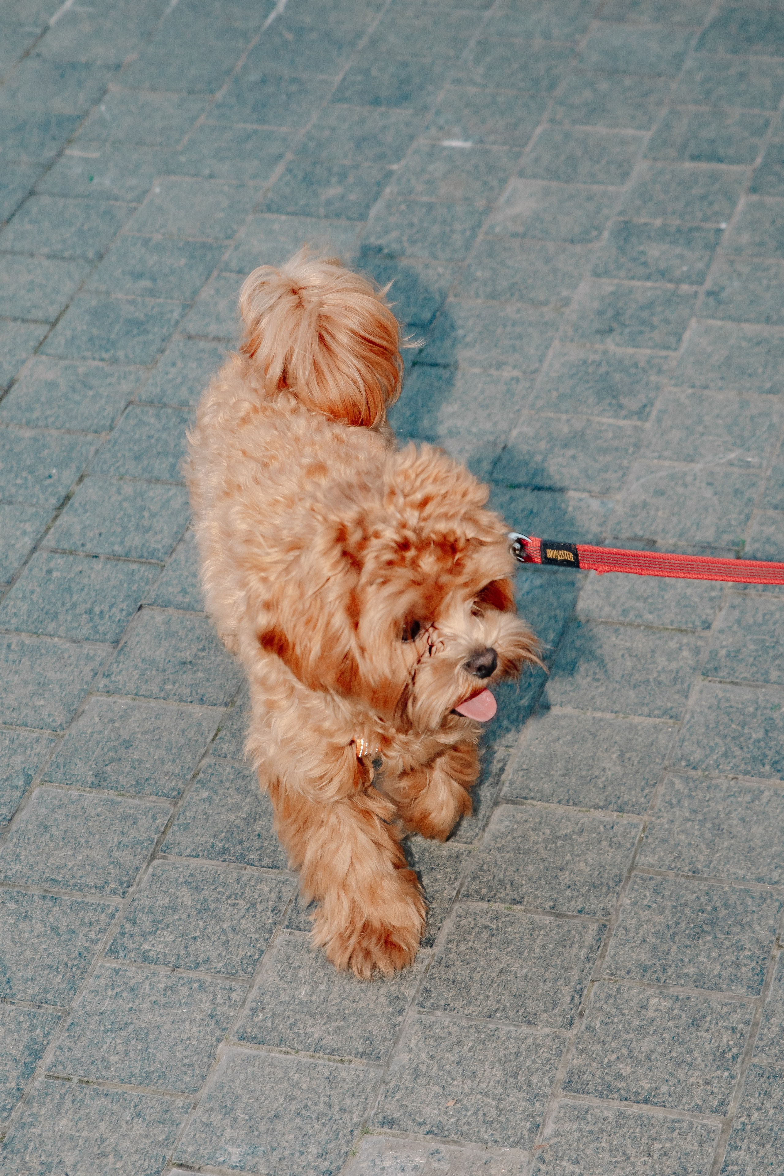 AESTHETIC ONLY в Петровском путевом дворце. Фотограф в Москве Яна Полосина